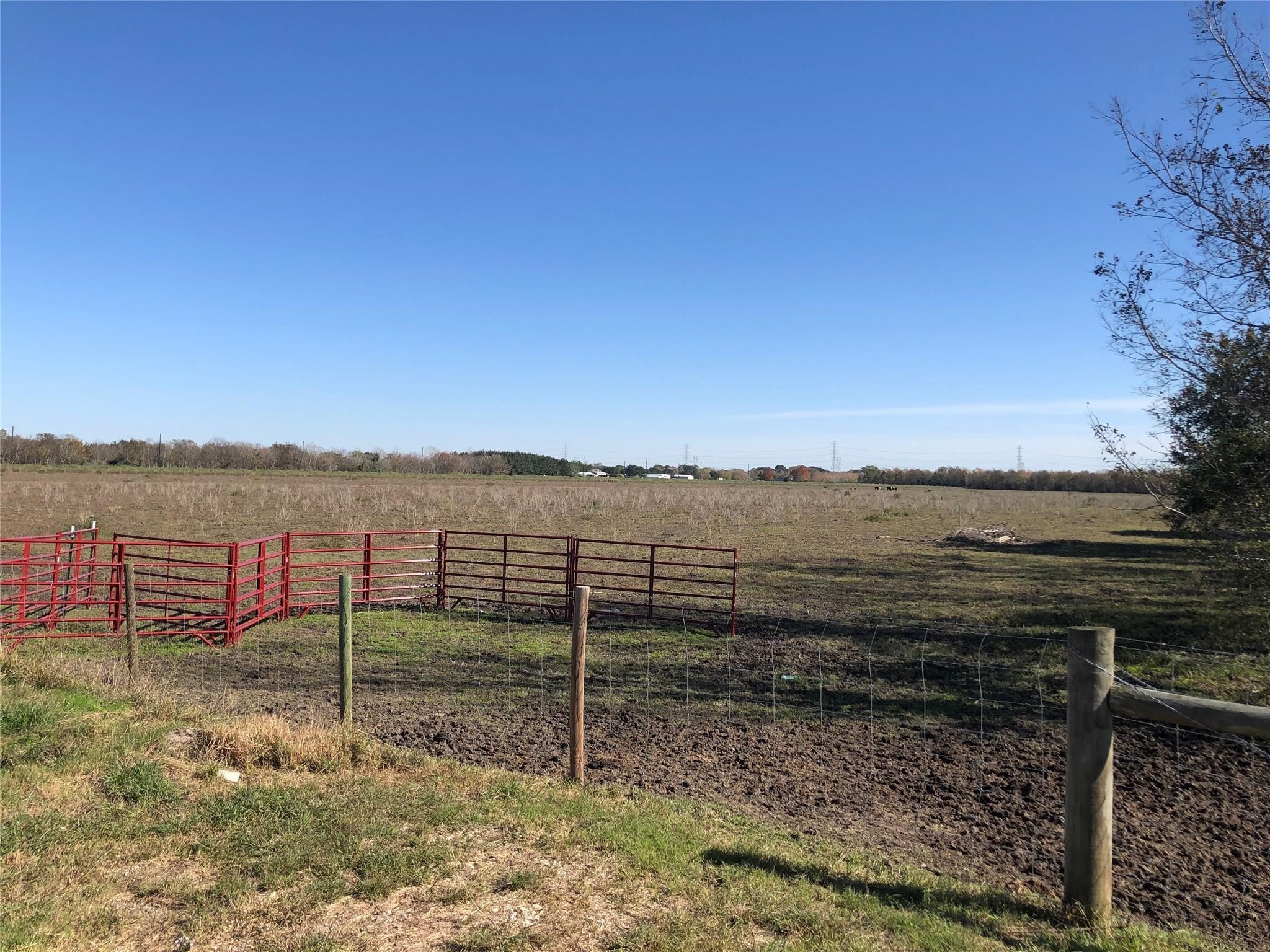 00 Dannhaus Road Property Photo 14