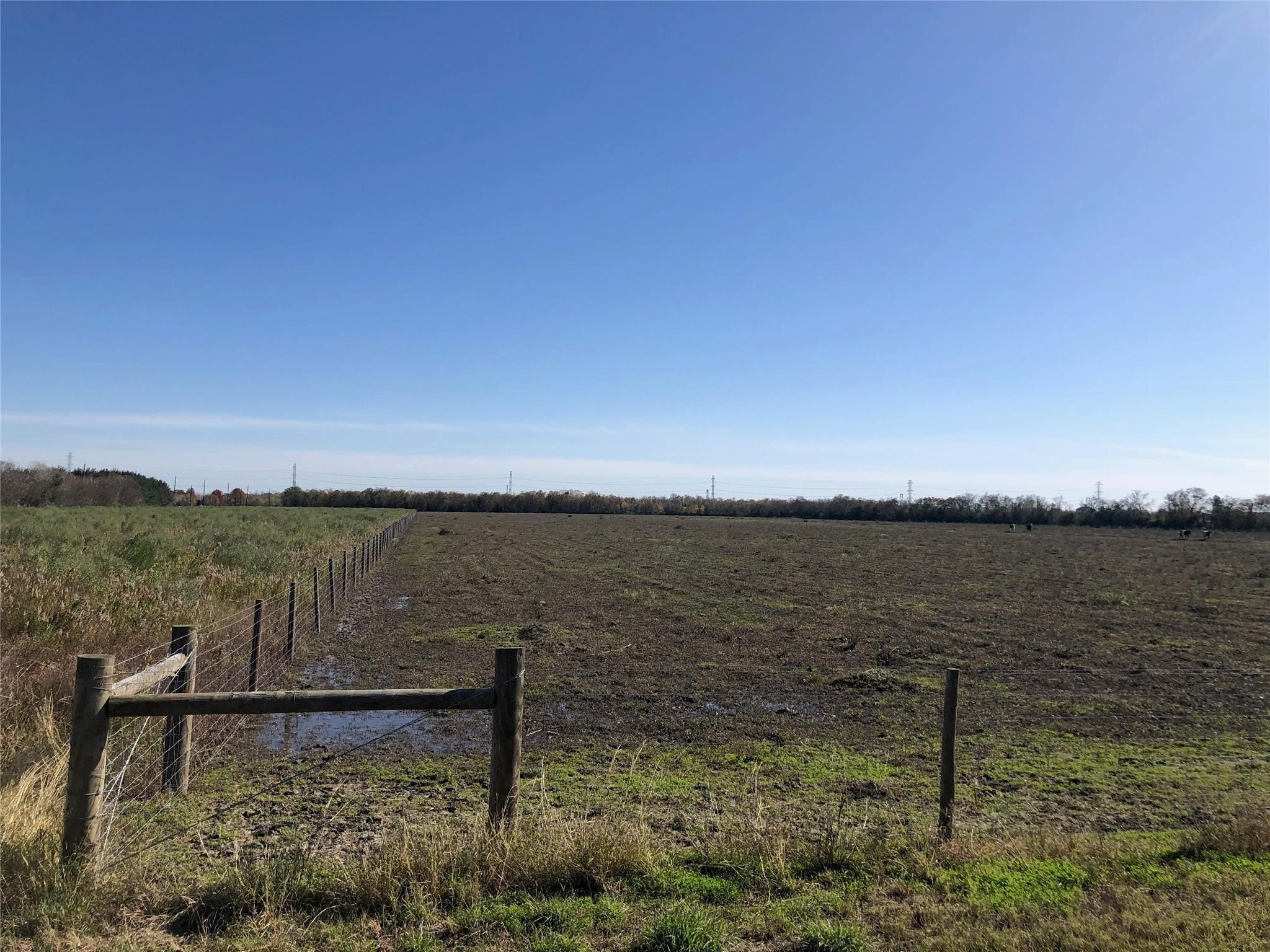 00 Dannhaus Road Property Photo 15