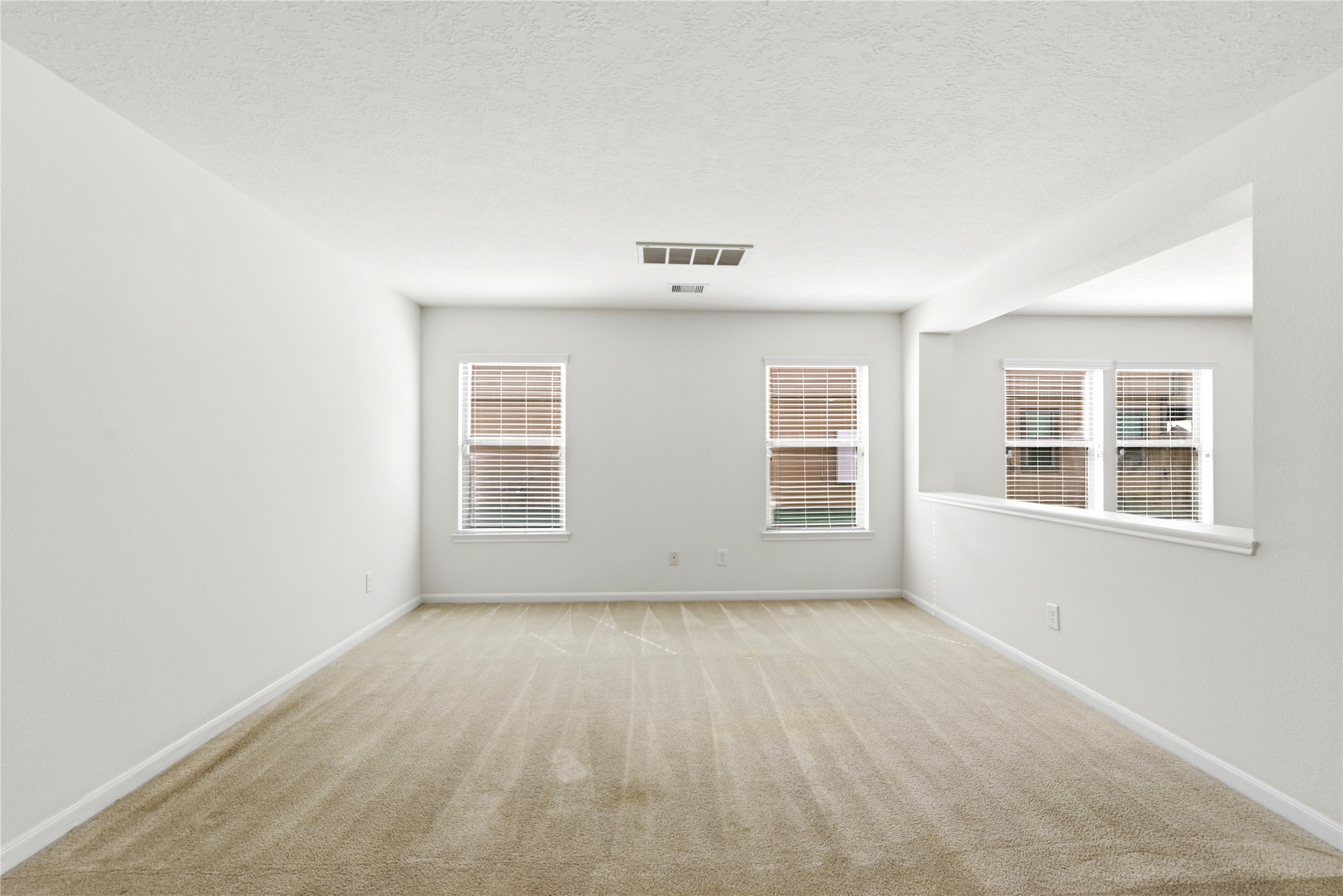 18919 Remington Springs Drive Property Photo 11