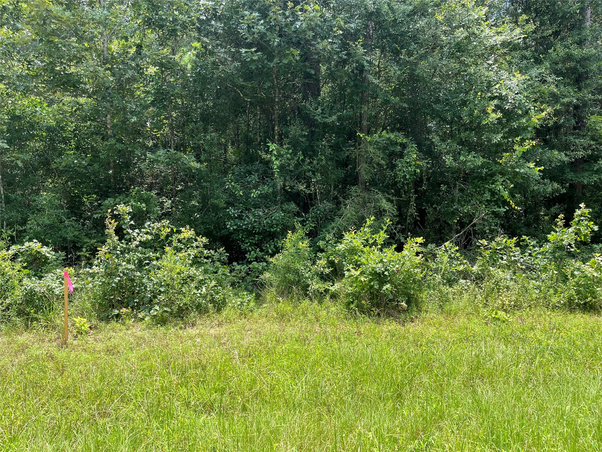 25416 Cambridge Boulevard Property Photo 1