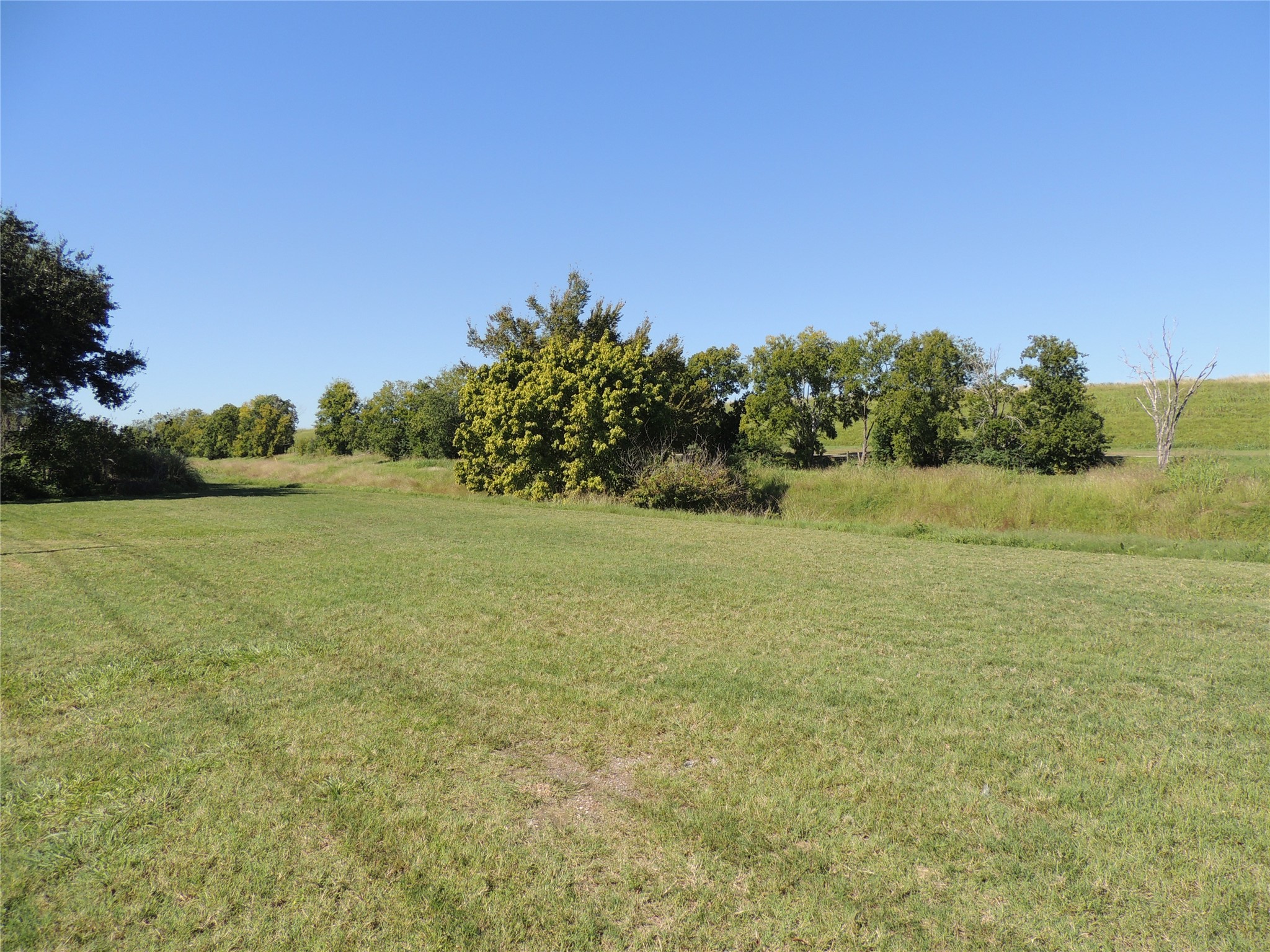 1307 Westwick Forest Lane Property Photo 29
