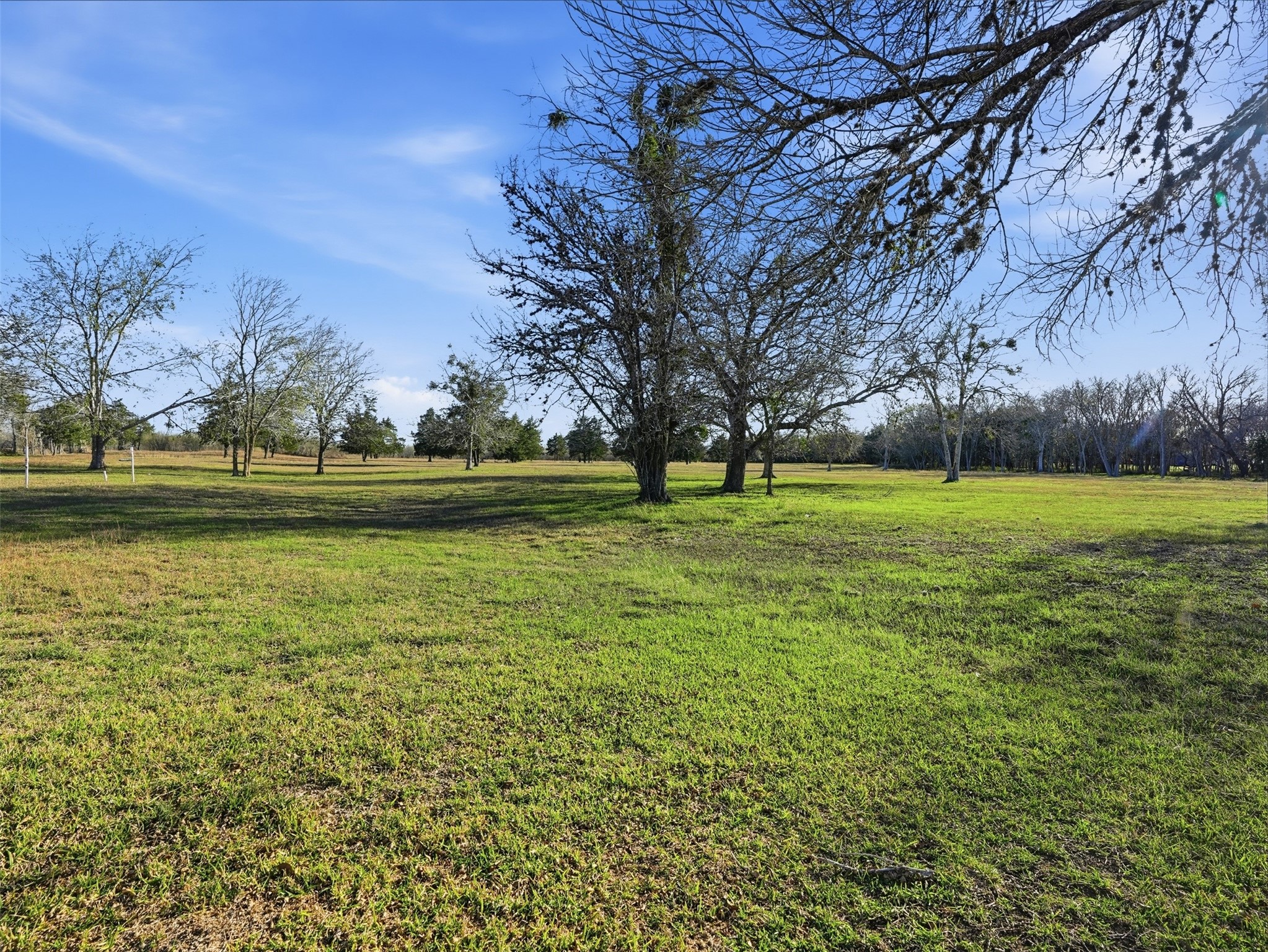 1123 Dunn Street Property Photo 28