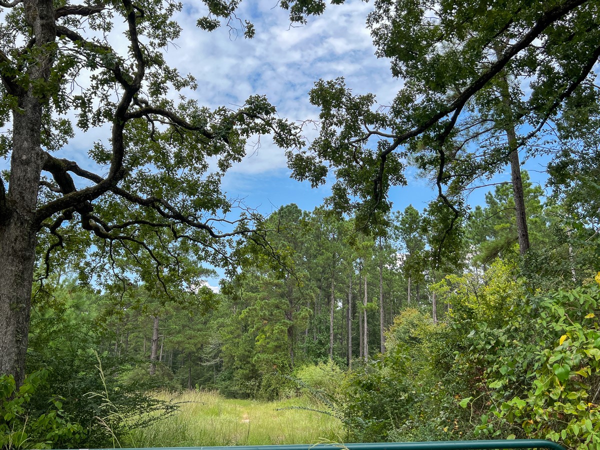 37 Highway 94 Road Property Photo 3