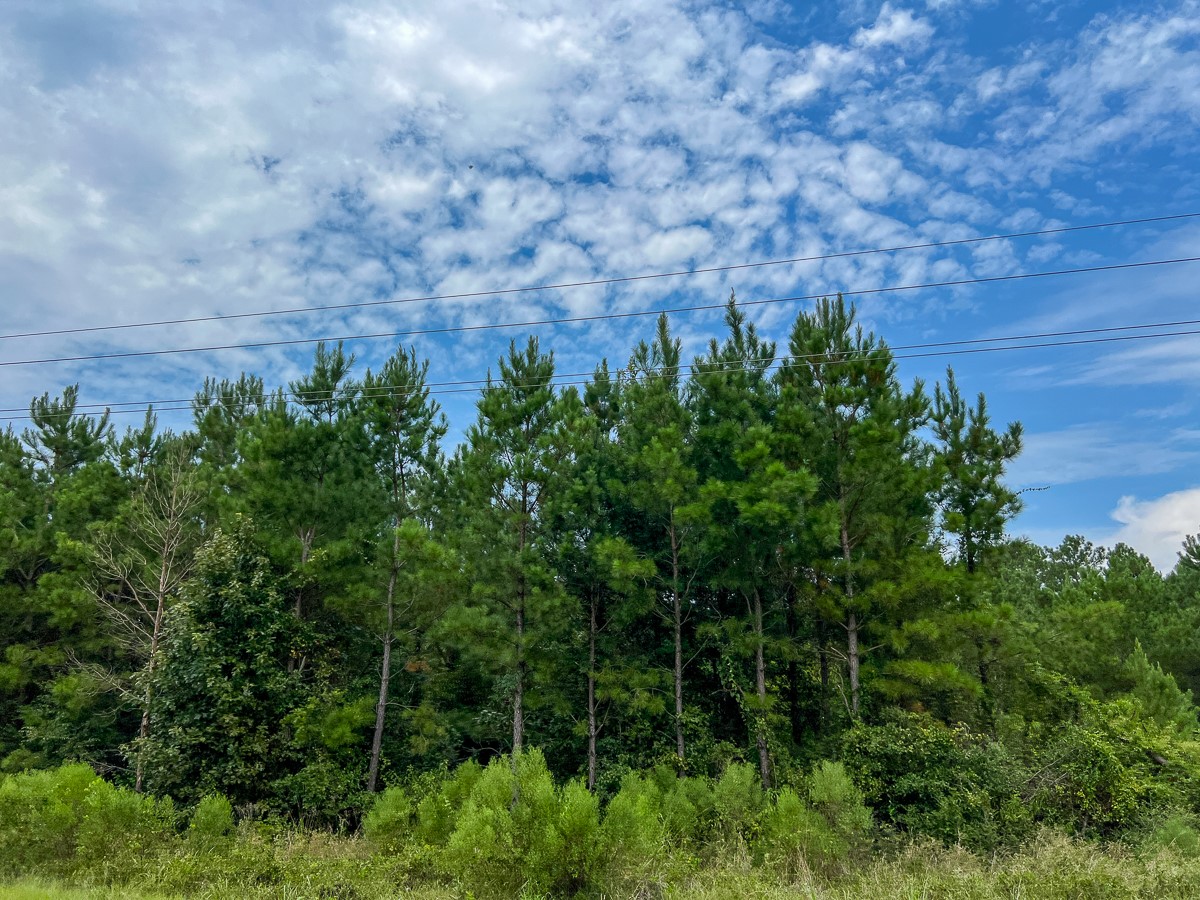 37 Highway 94 Road Property Photo 4