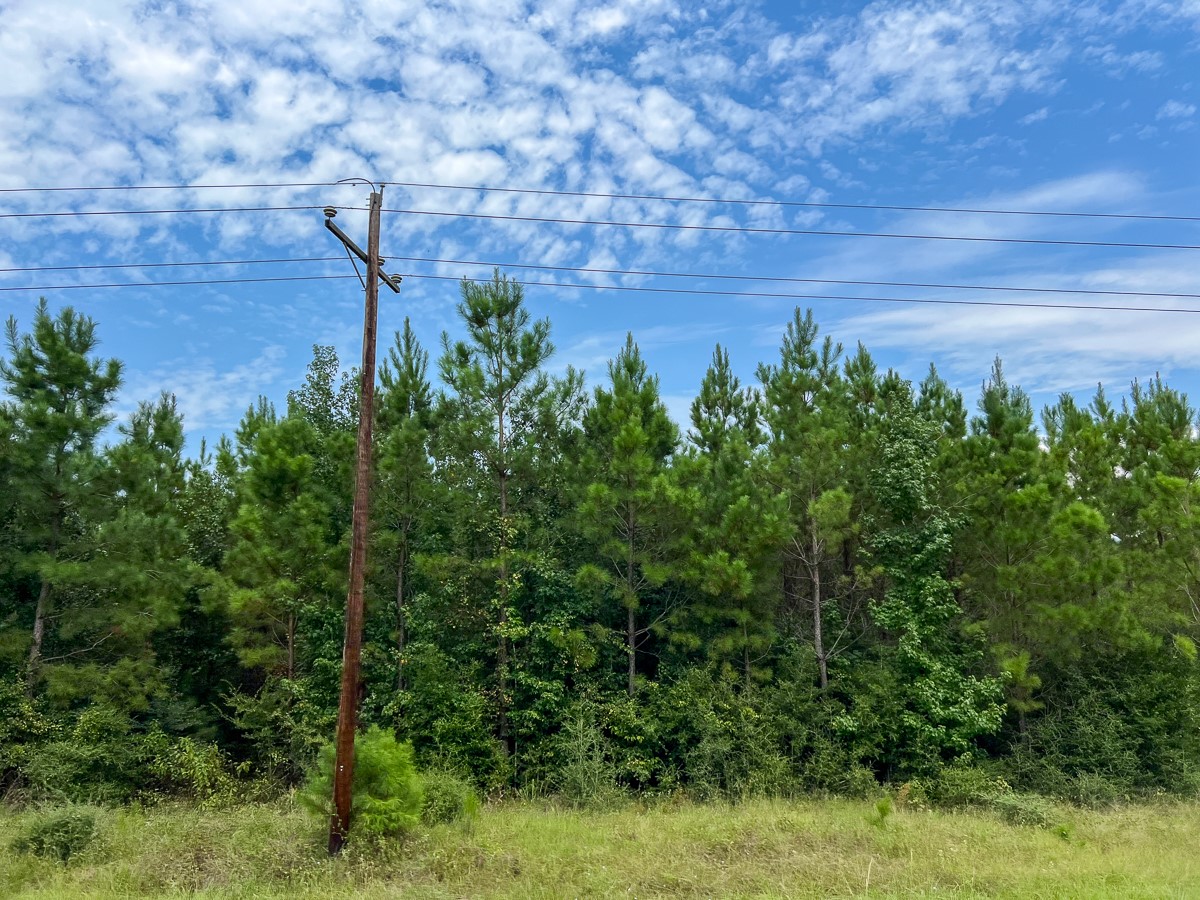 37 Highway 94 Road Property Photo 5