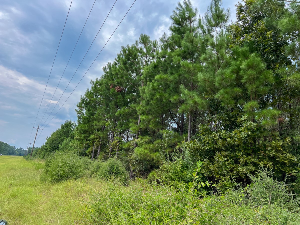 37 Highway 94 Road Property Photo 8