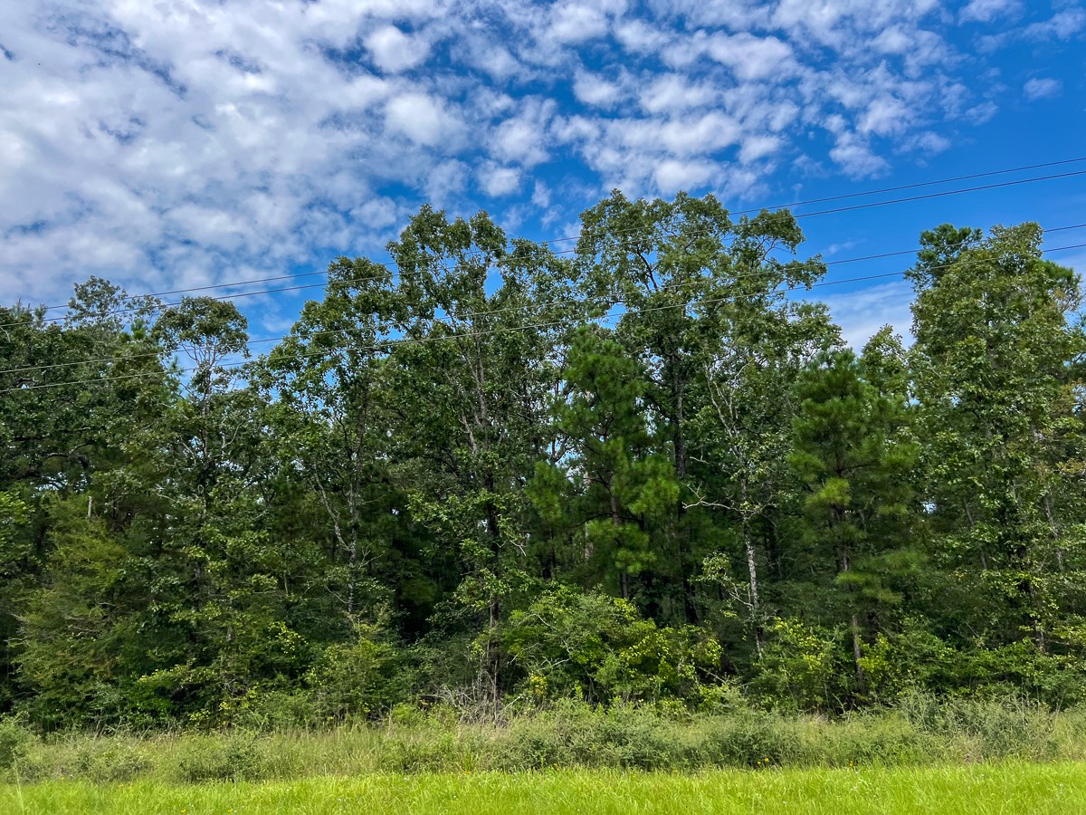 37 Highway 94 Road Property Photo 9