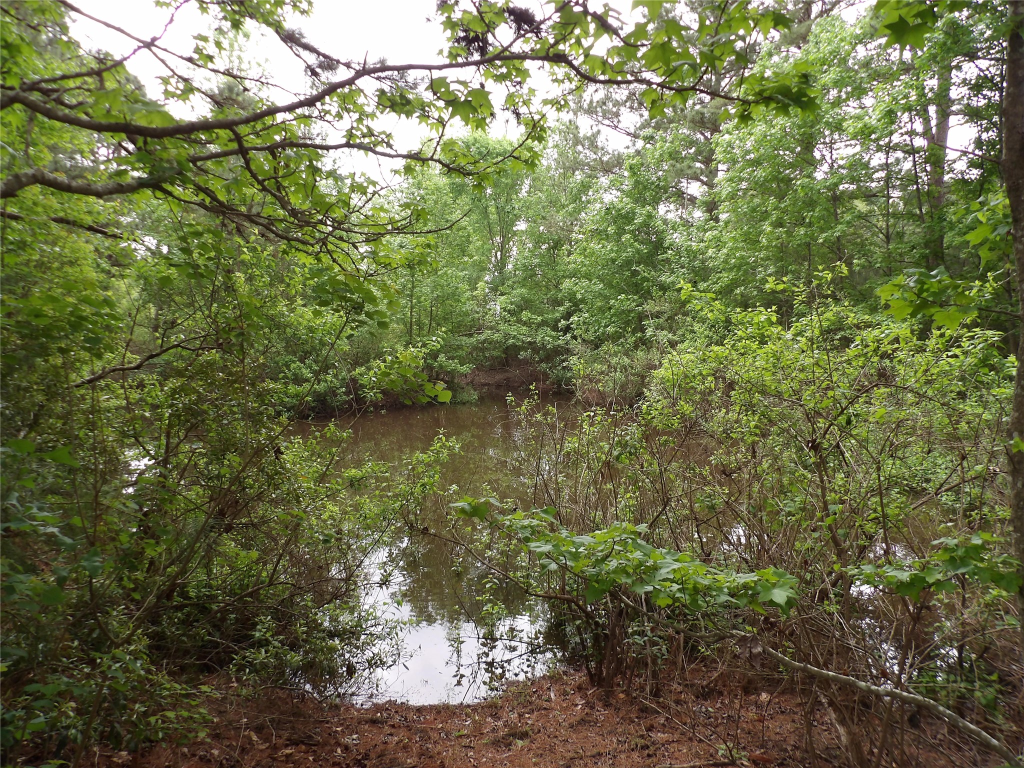 7538 Fm 2022 N Property Photo 36