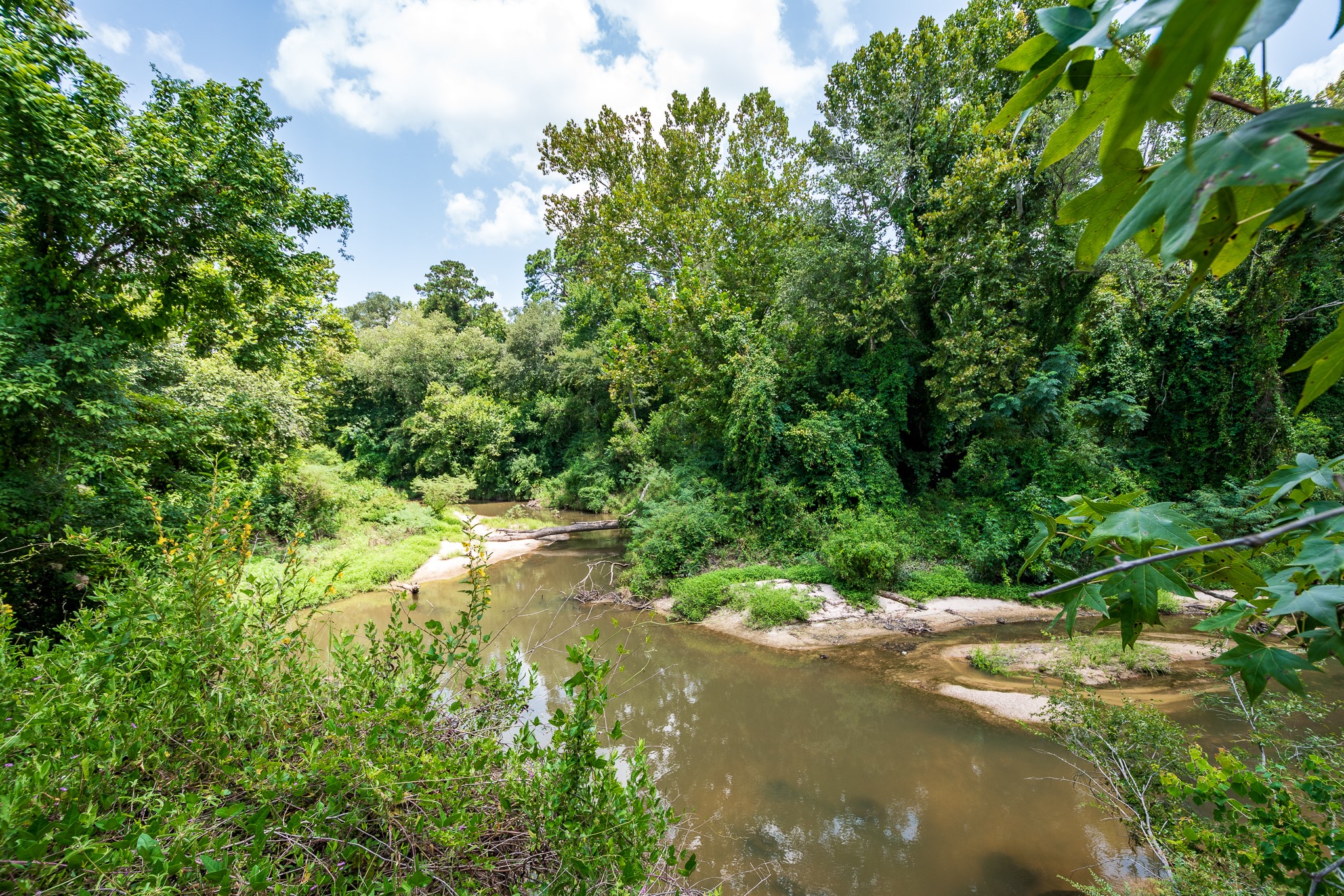 16067 Fm 1485 Road Property Photo 13