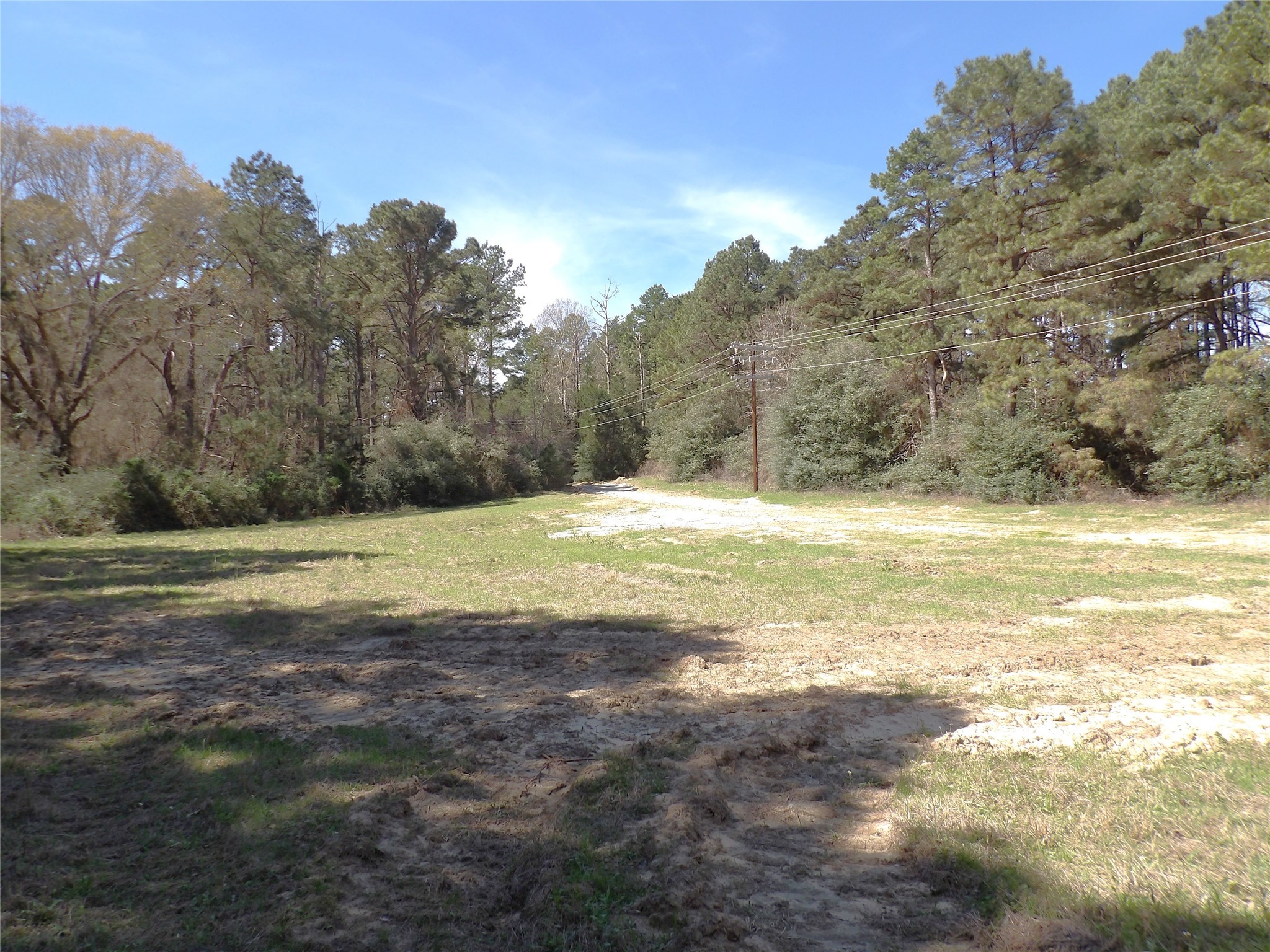 Tbd County Road 1620 Property Photo