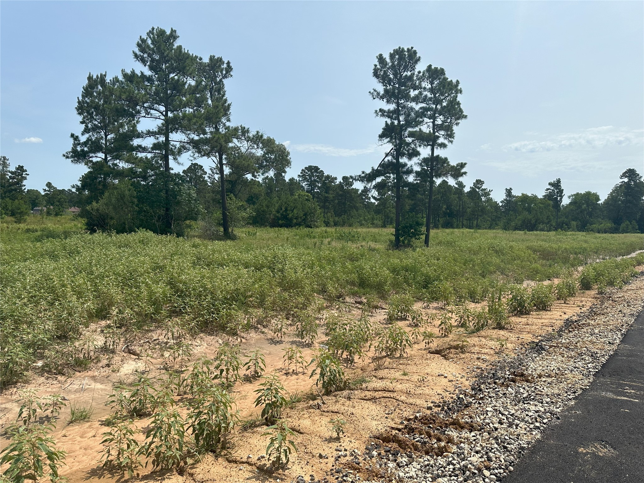 31914 Boone Road Property Photo 4