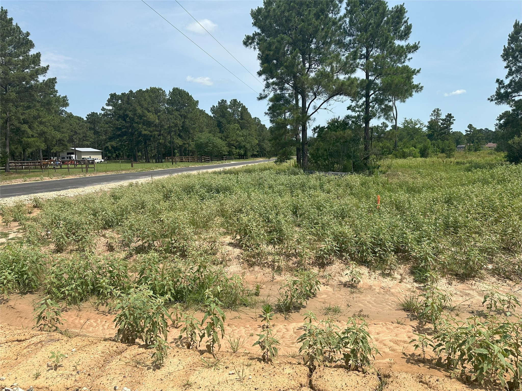 31914 Boone Road Property Photo 5