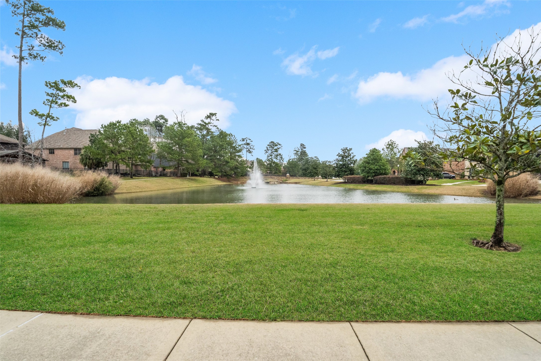 13006 Freemont Peak Lane Property Photo 46