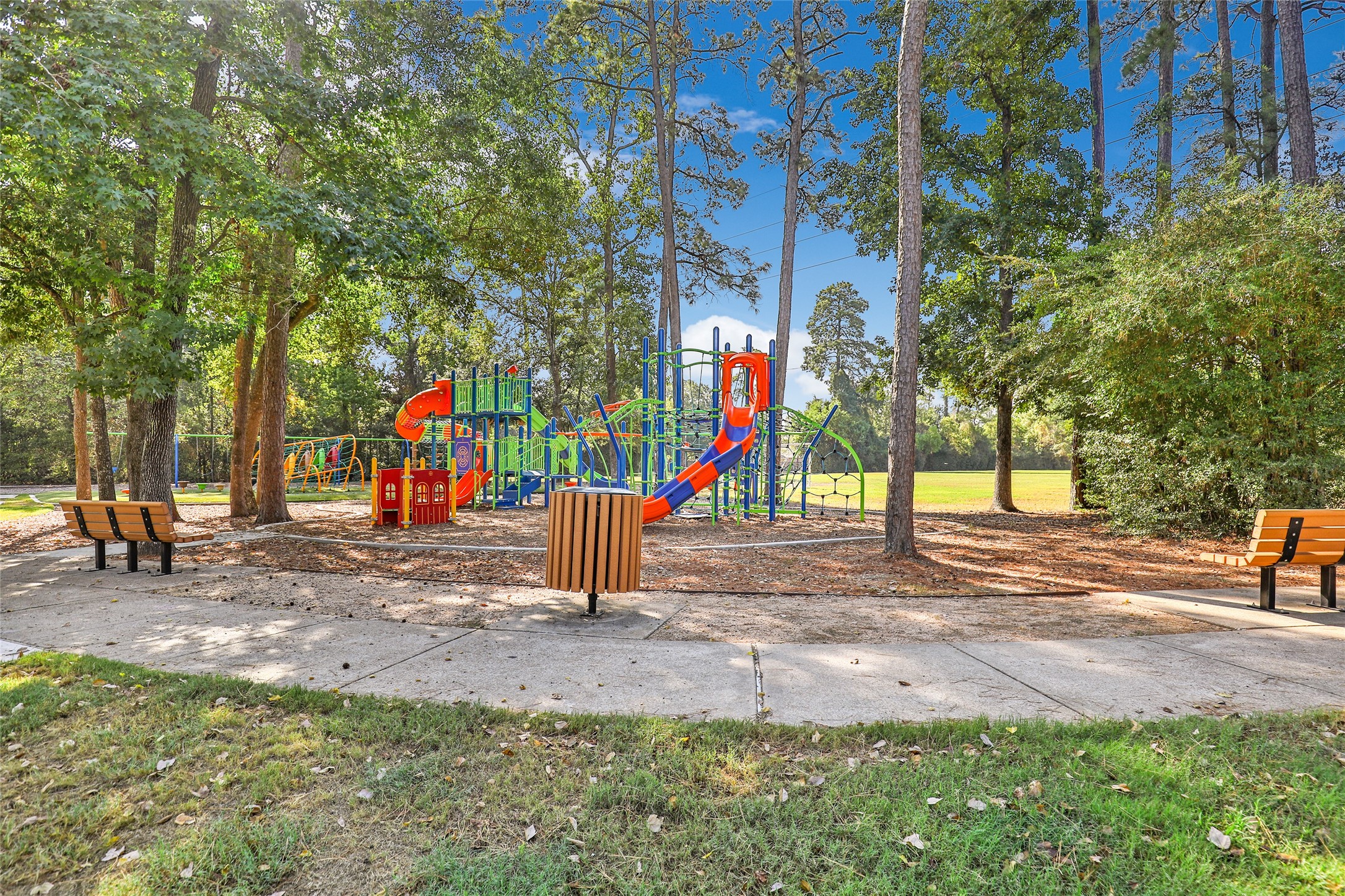 13006 Freemont Peak Lane Property Photo 48