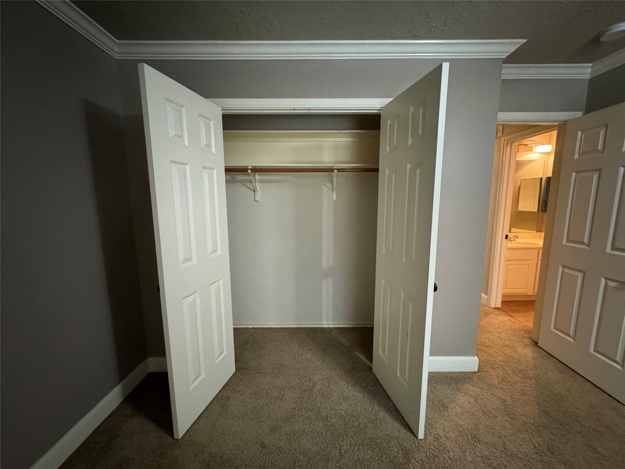 79 Anise Tree Place Property Photo 28