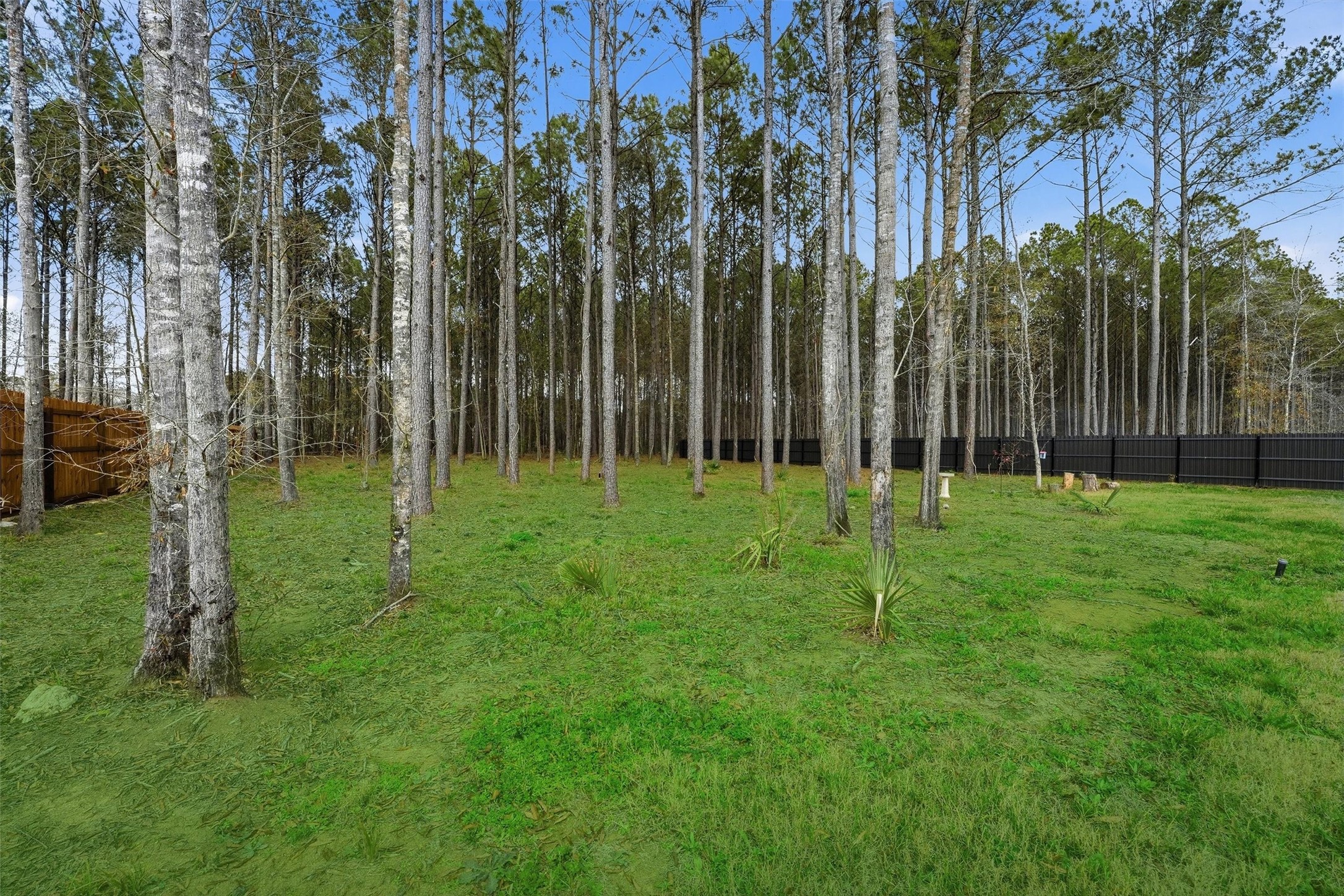 1229 Road 66112 Property Photo 41