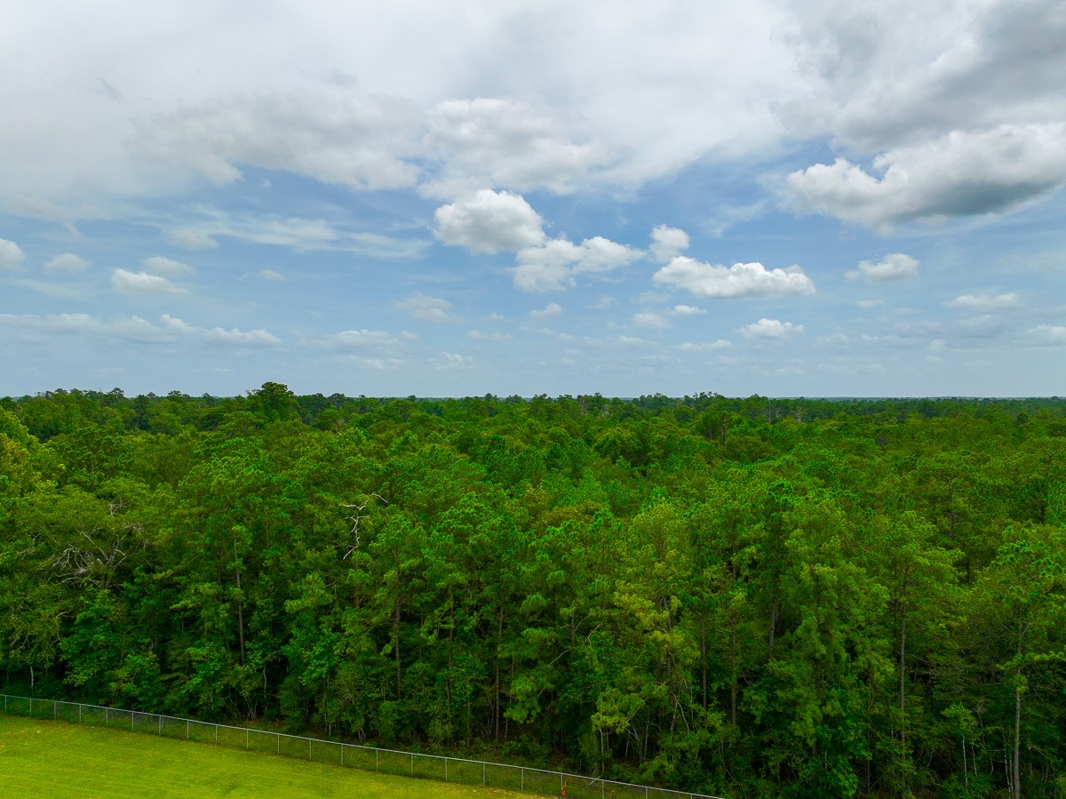 0 Pine Tree Lane Property Photo 4