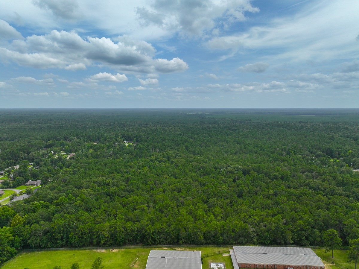0 Pine Tree Lane Property Photo 5