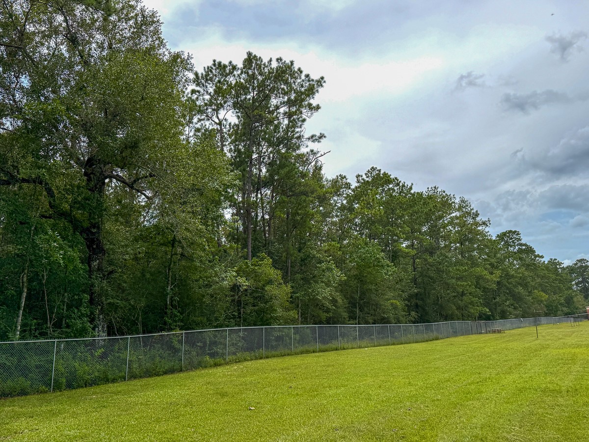 0 Pine Tree Lane Property Photo 8