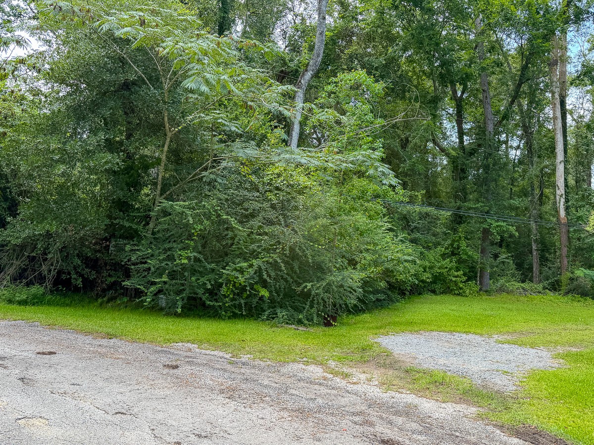 0 Pine Tree Lane Property Photo 9