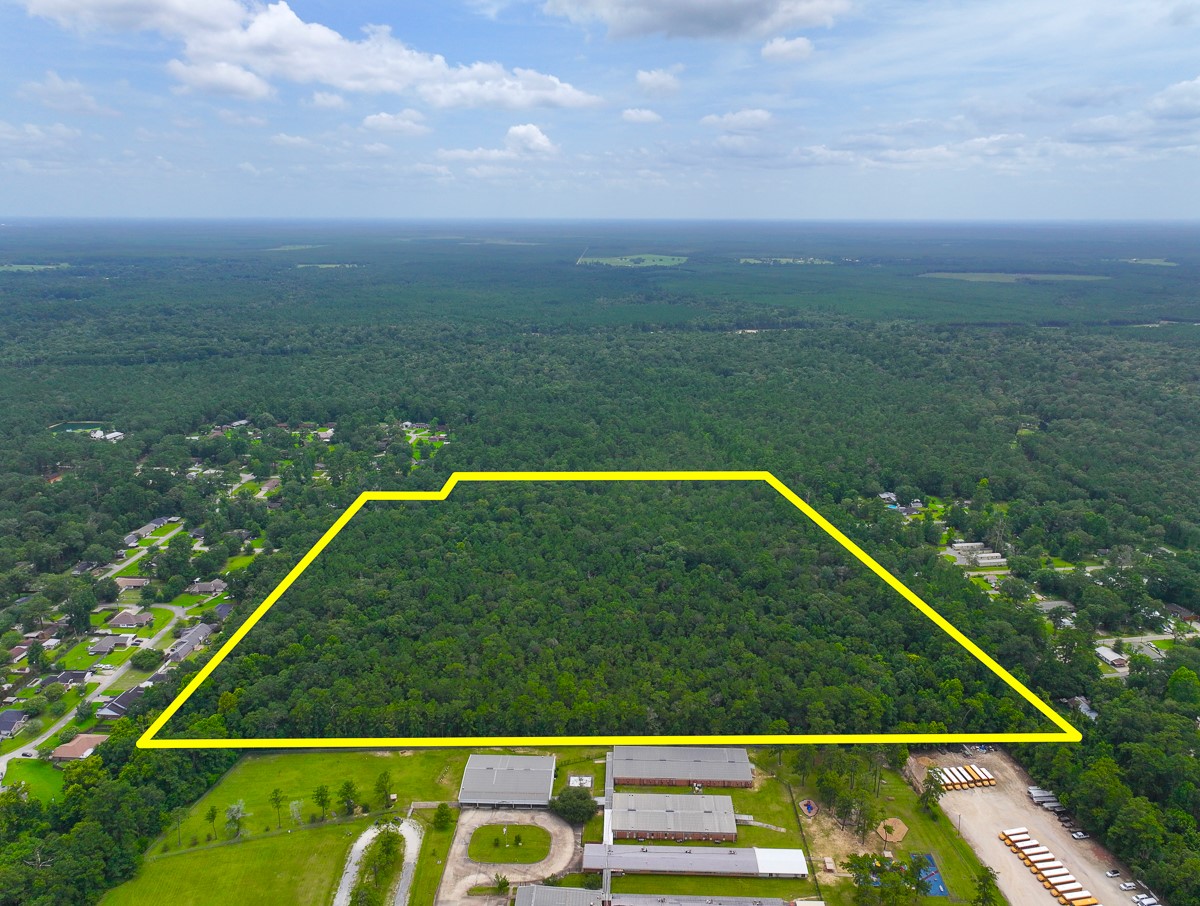 0 Pine Tree Lane Property Photo 12