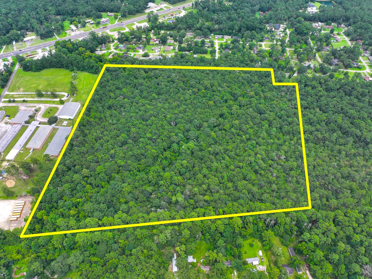 0 Pine Tree Lane Property Photo 13