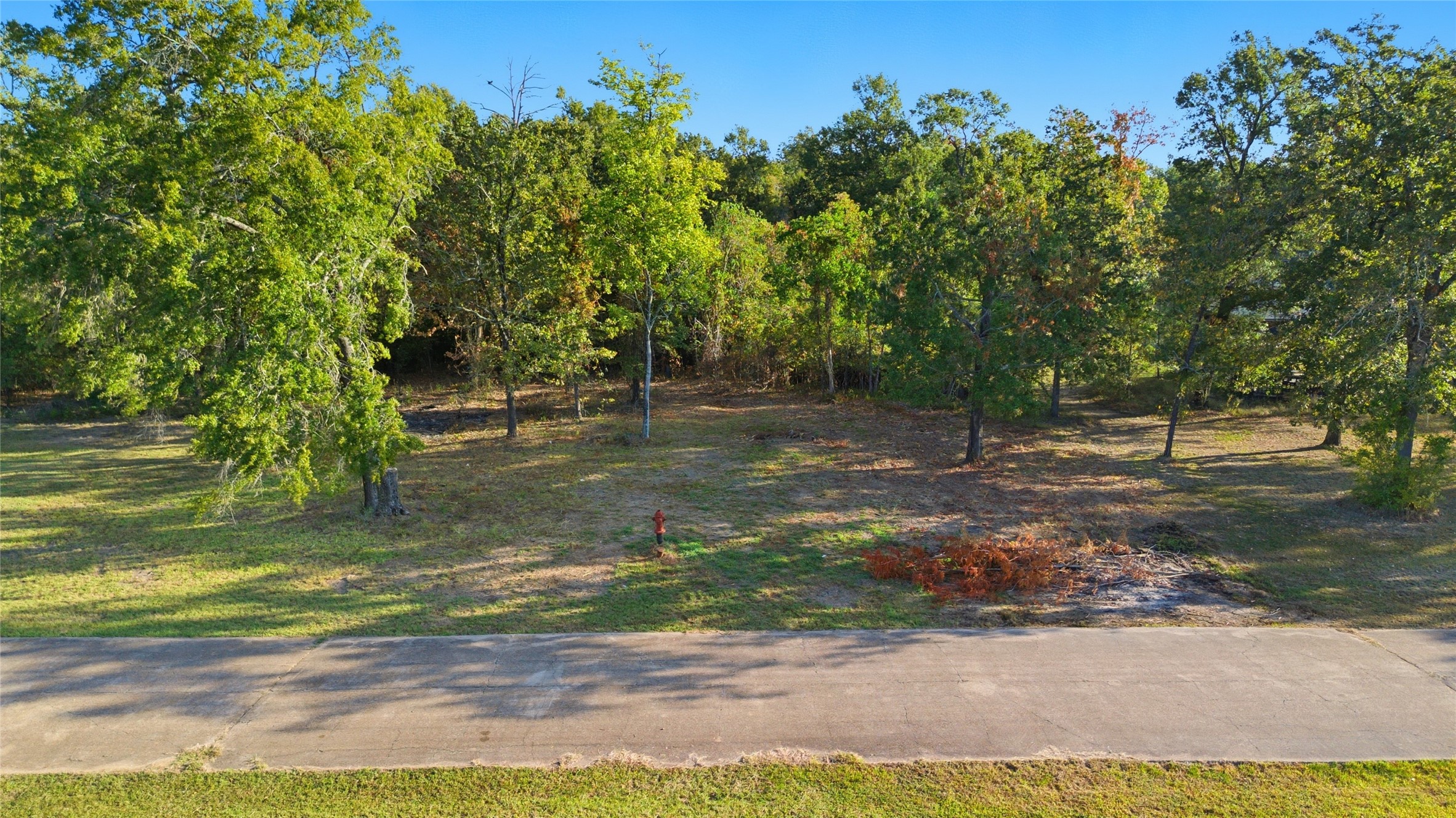 Tbd #24 Deep Woods Lane Property Photo 9