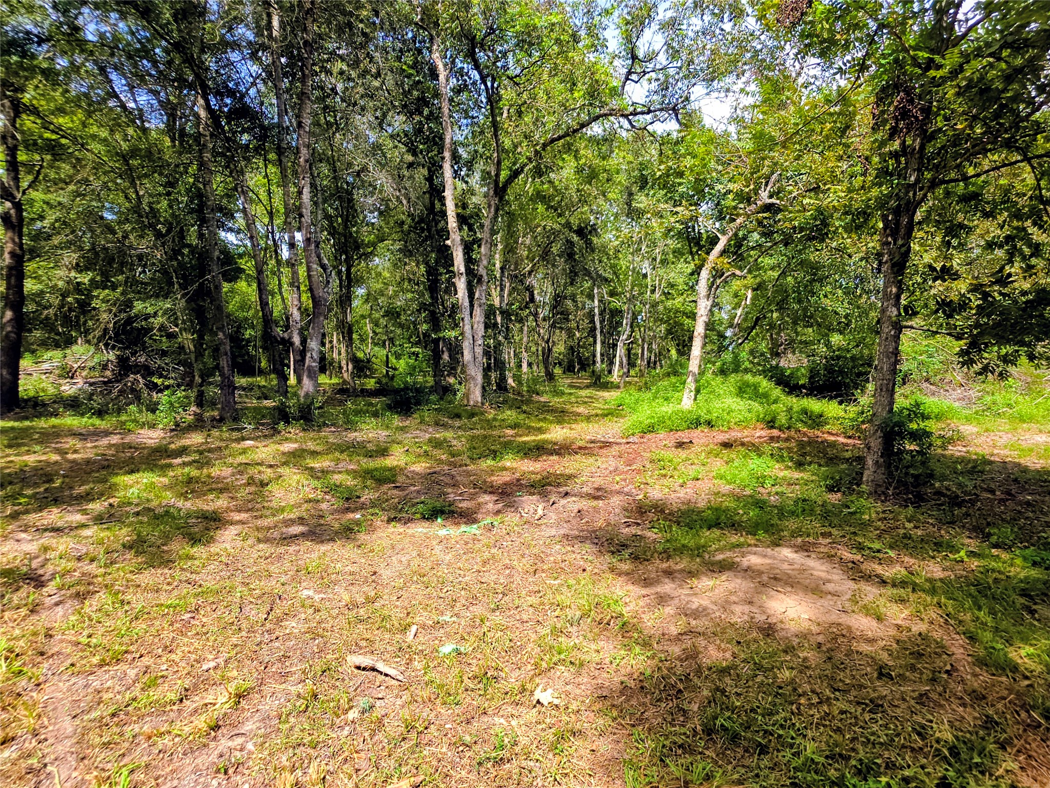 Tbd 3rd Street Property Photo 18