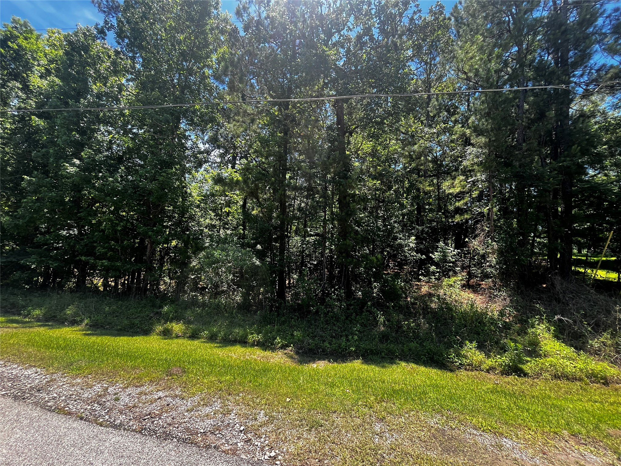 0 Hickory Ridge Drive Property Photo 1