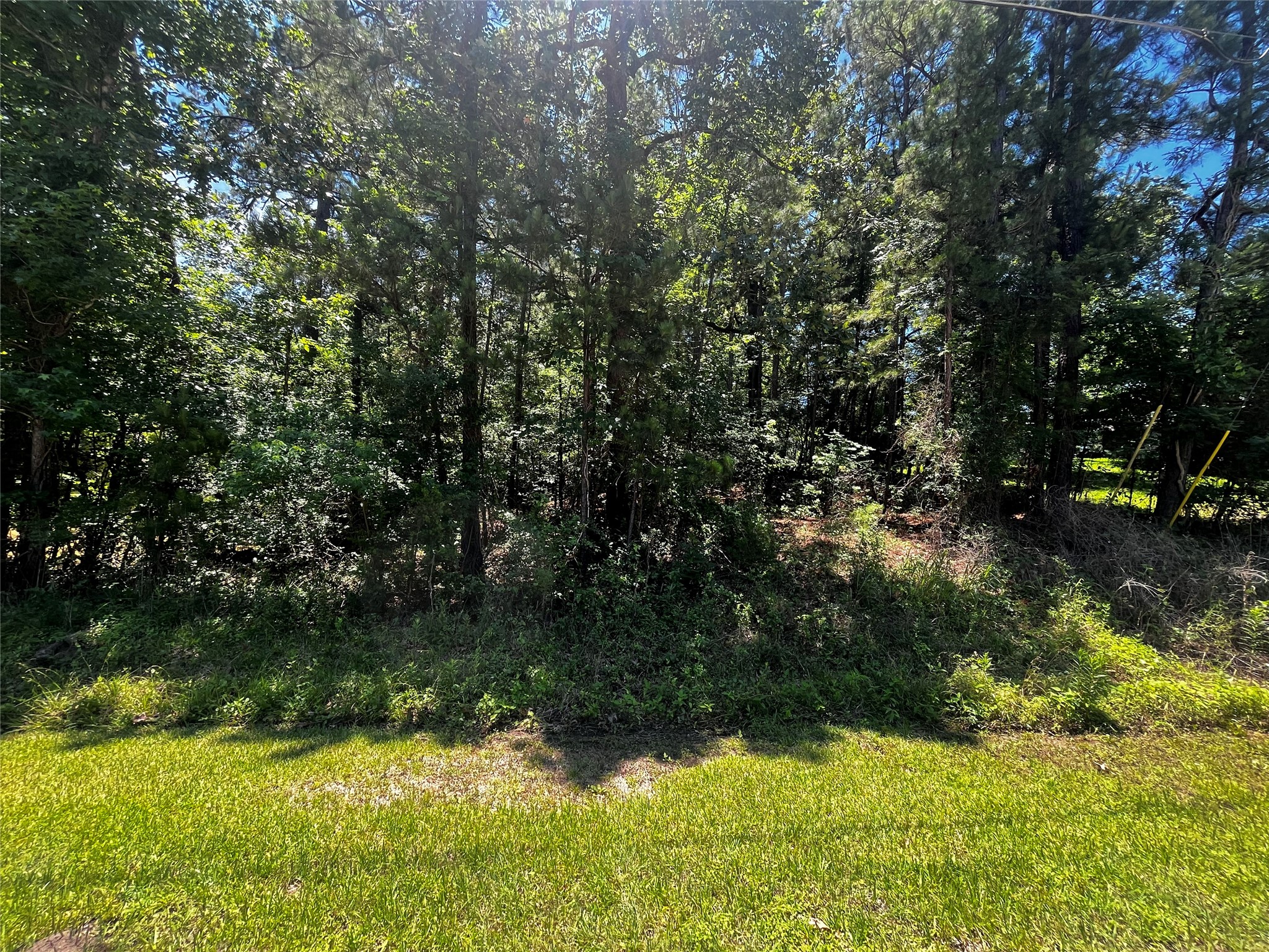 0 Hickory Ridge Drive Property Photo 2