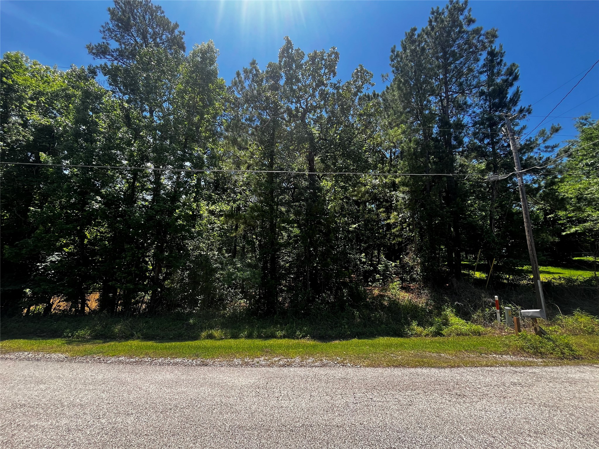 0 Hickory Ridge Drive Property Photo 3