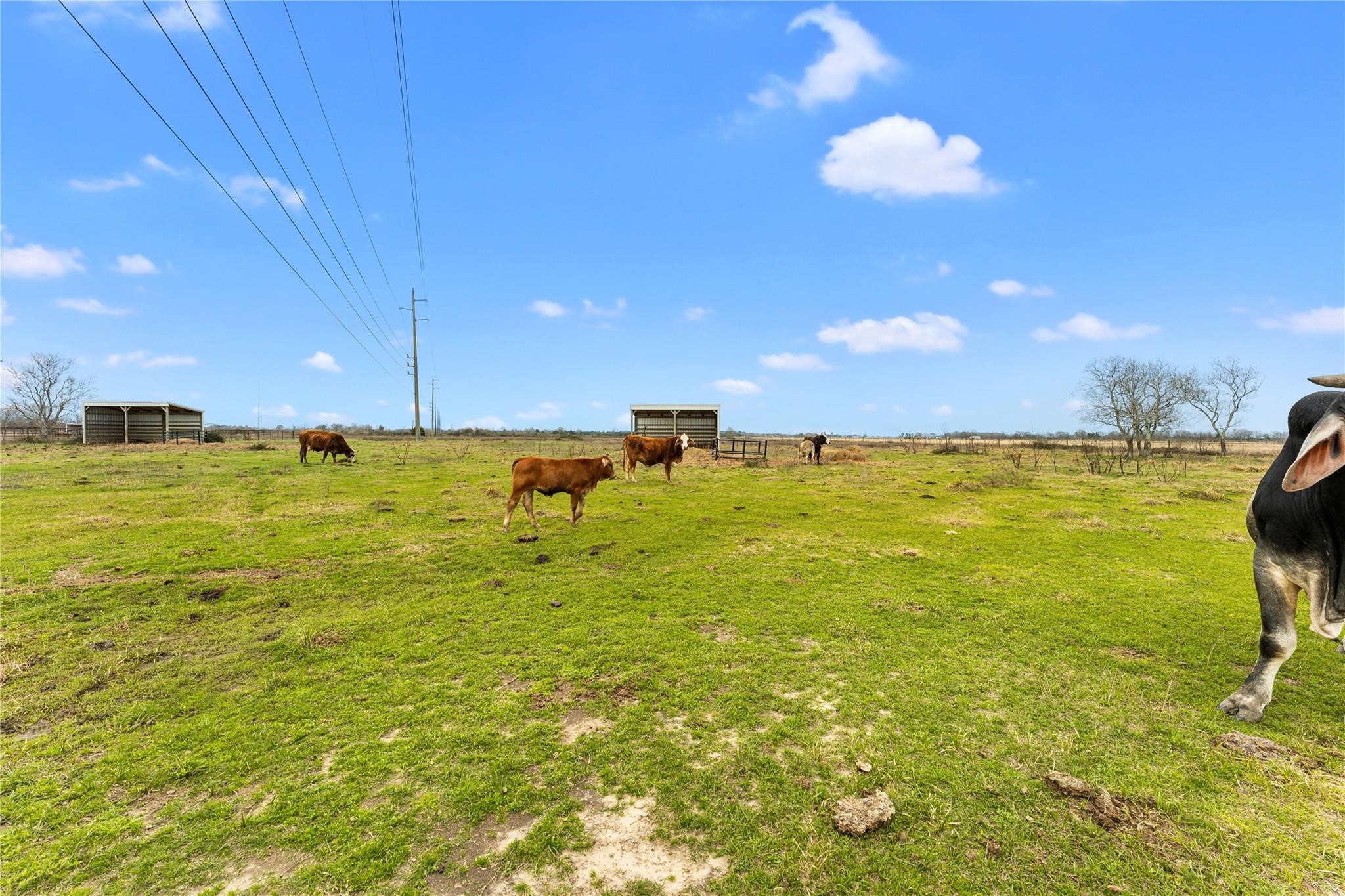 311 County Road 18 Property Photo 14