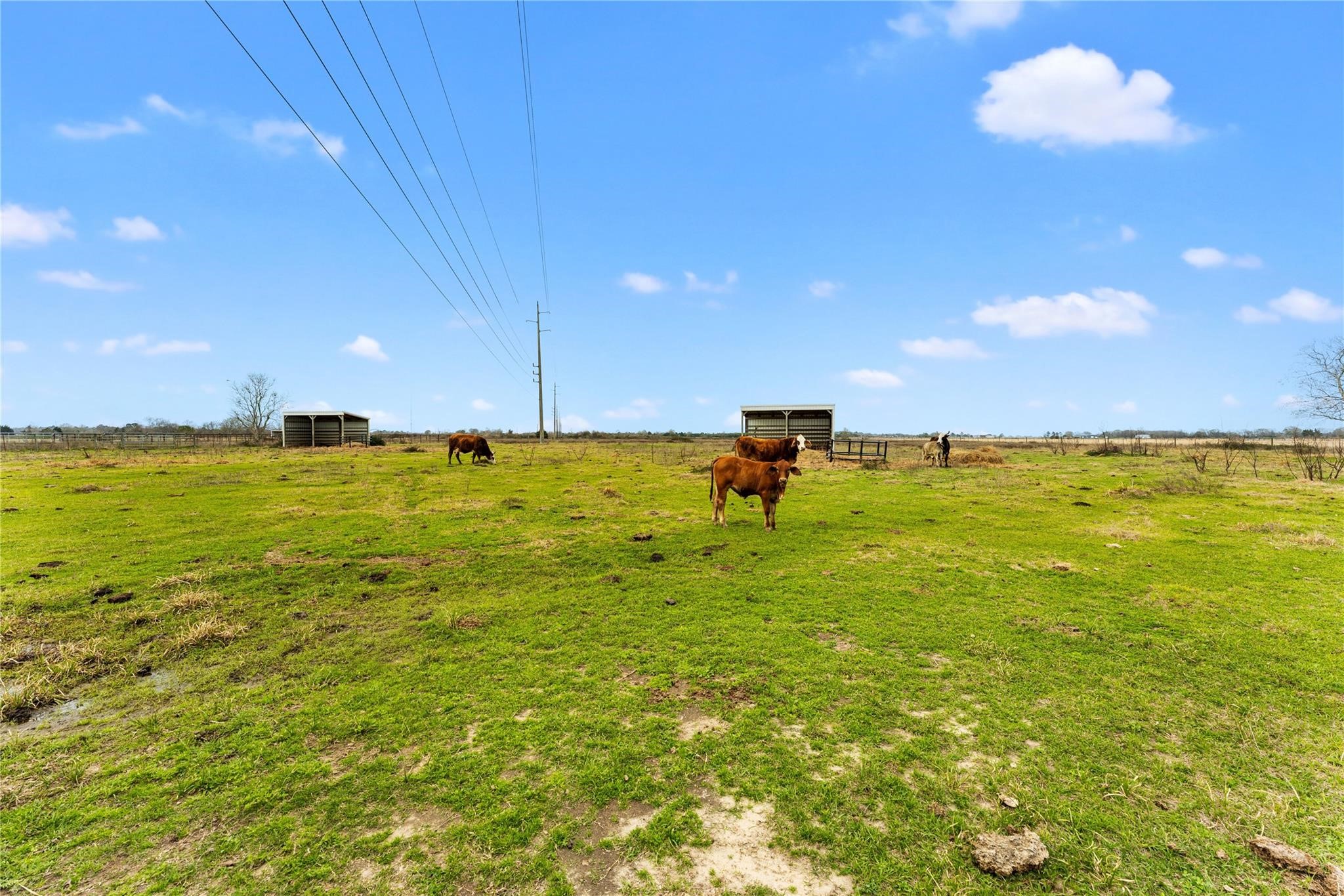 311 County Road 18 Property Photo 15