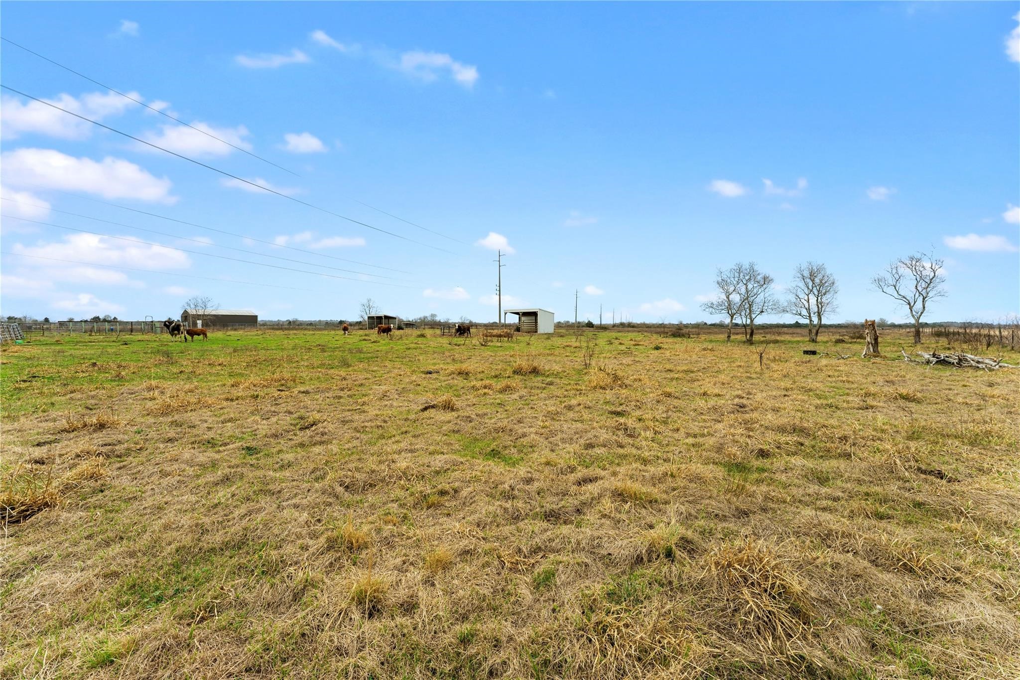 311 County Road 18 Property Photo 16