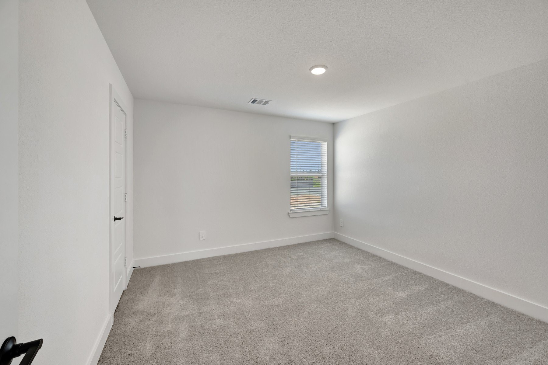 21215 Jacaranda Blossom Way Property Photo 42