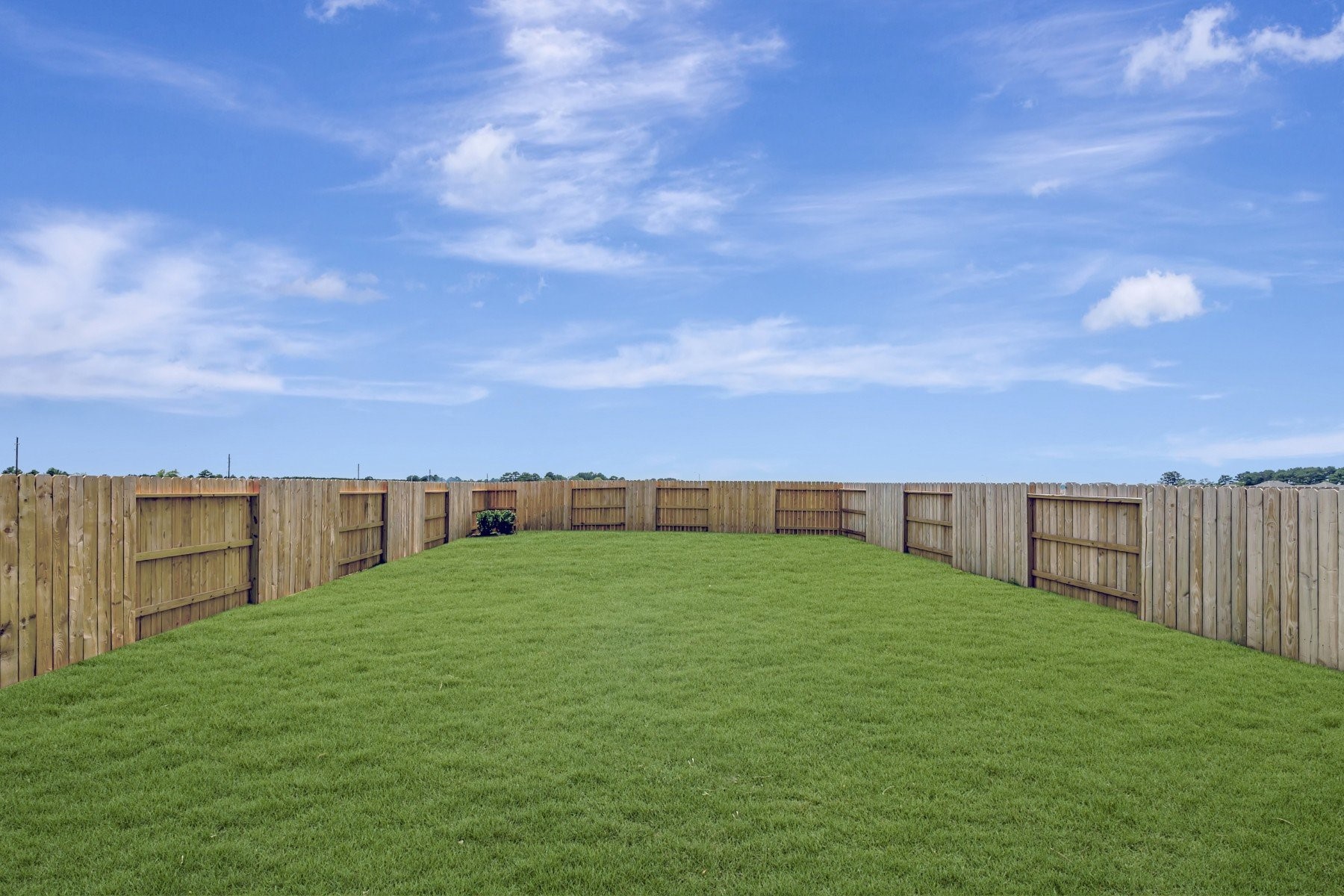 21215 Jacaranda Blossom Way Property Photo 44