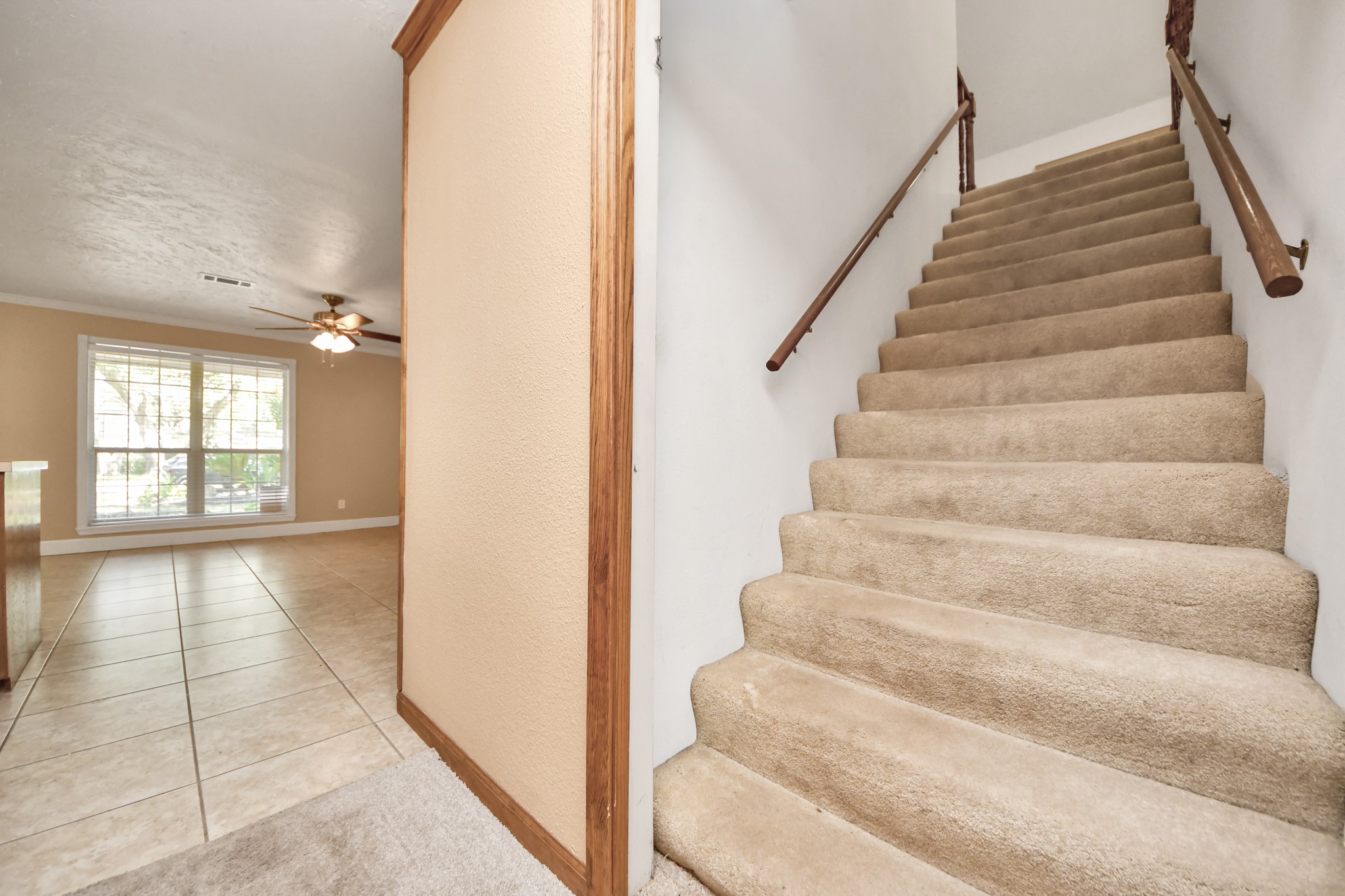 215 Hardy Street Property Photo 20