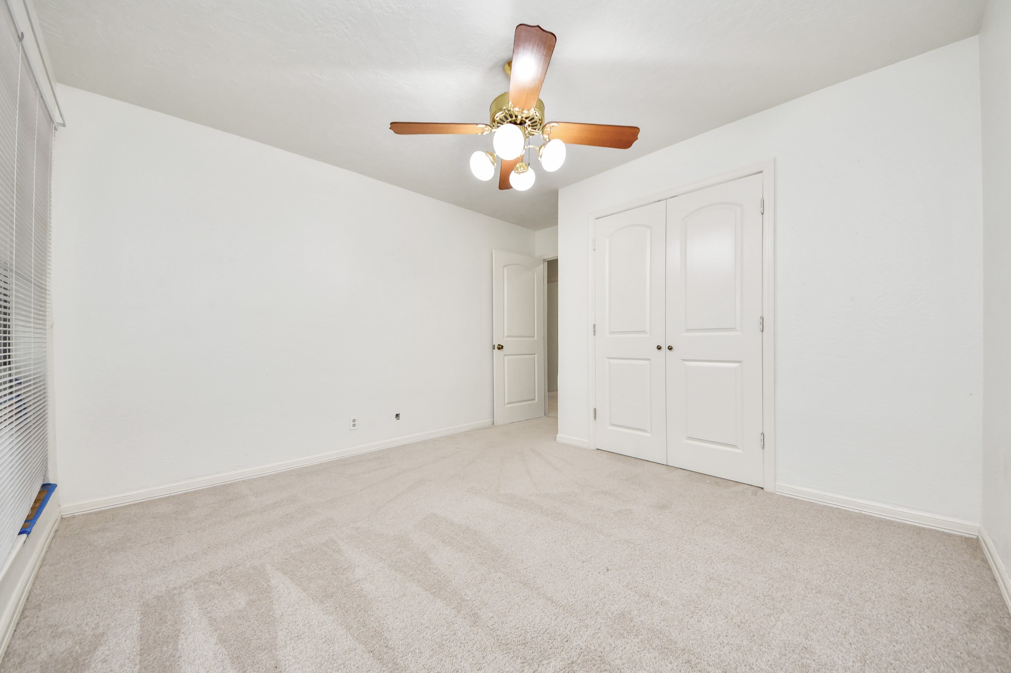 215 Hardy Street Property Photo 26