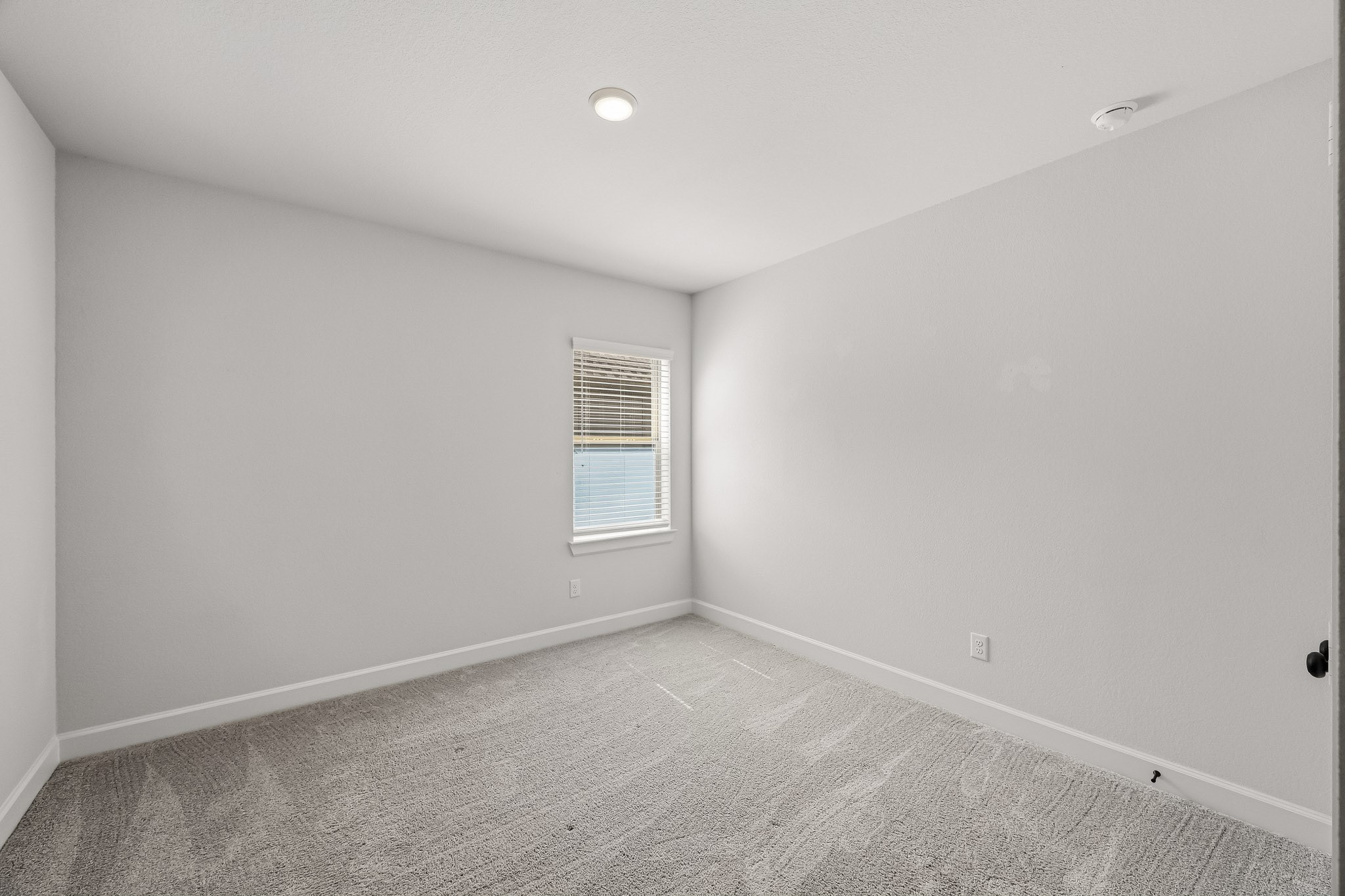 1538 Park Path Drive Property Photo 31