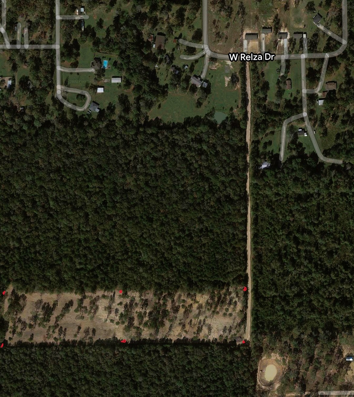 12 Acres Off W Relza Rd Property Photo 1