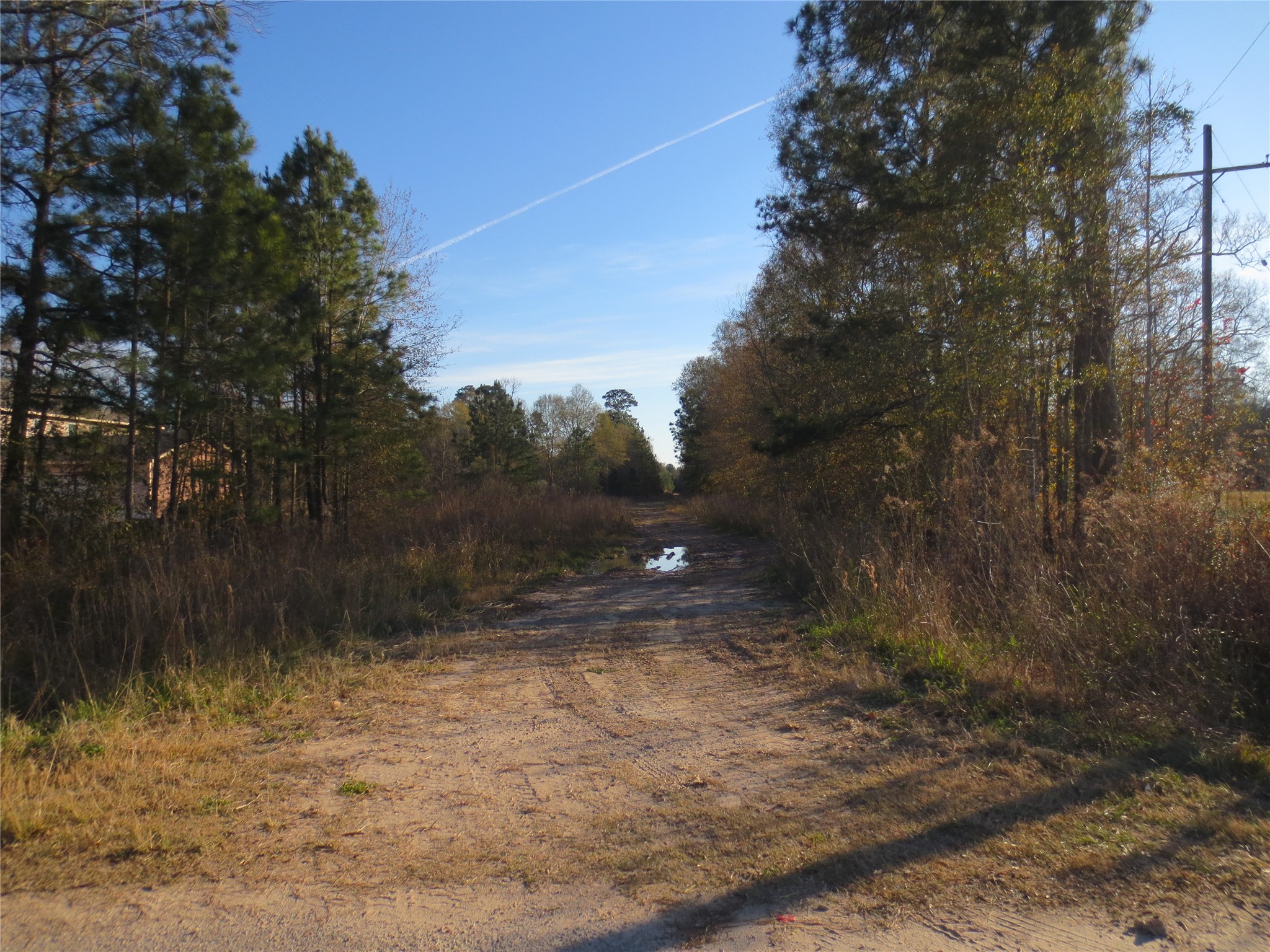12 Acres Off W Relza Rd Property Photo 2