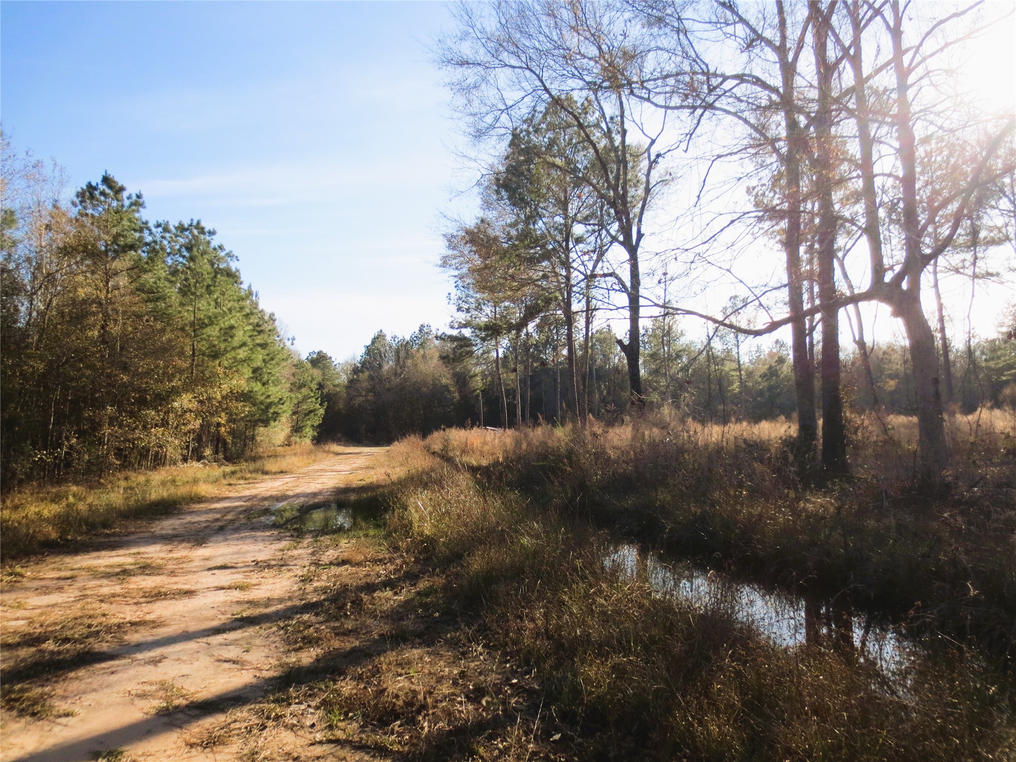 12 Acres Off W Relza Rd Property Photo 5
