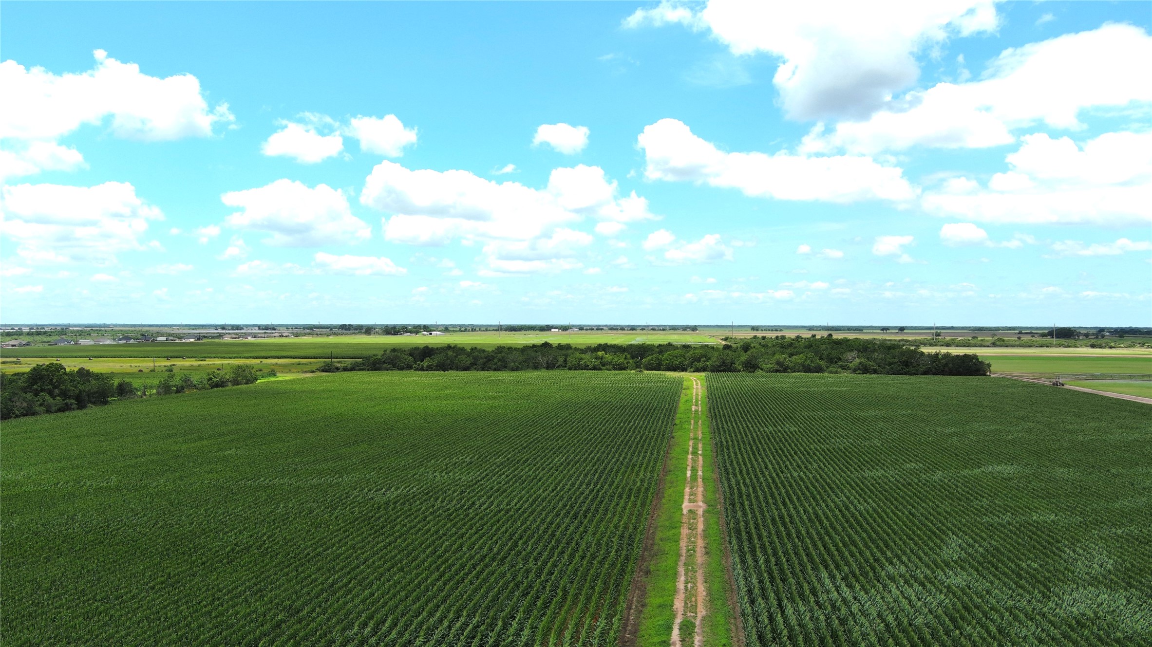 Tbd Hwy 60 Property Photo 1