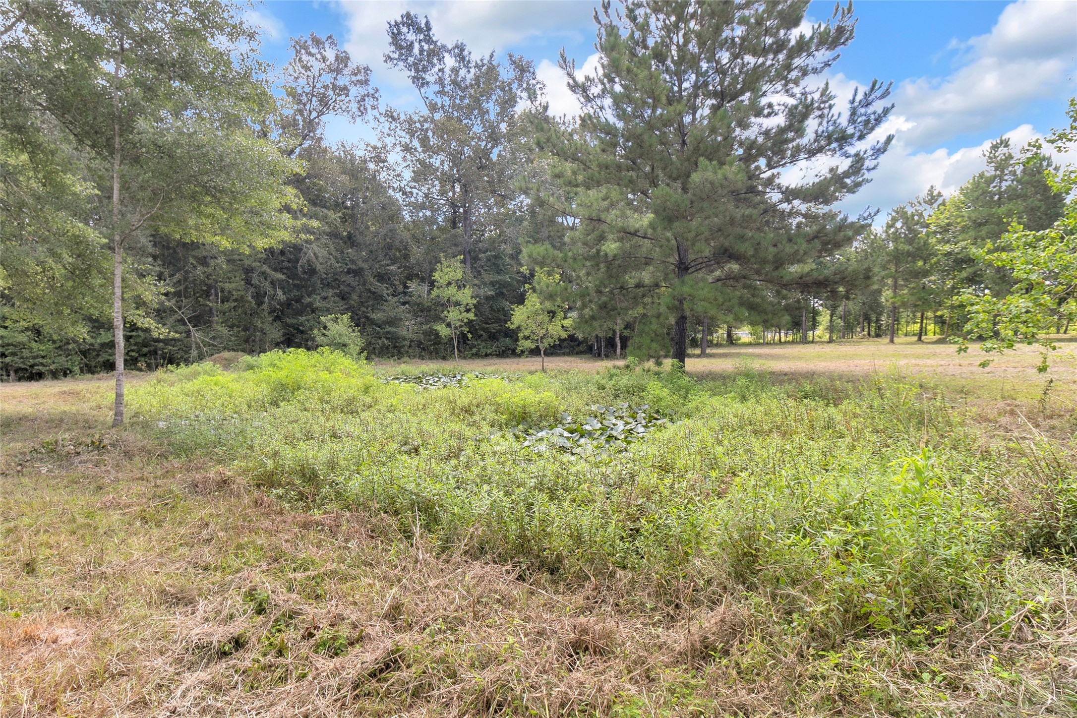 310 County Road 3280 Property Photo 16