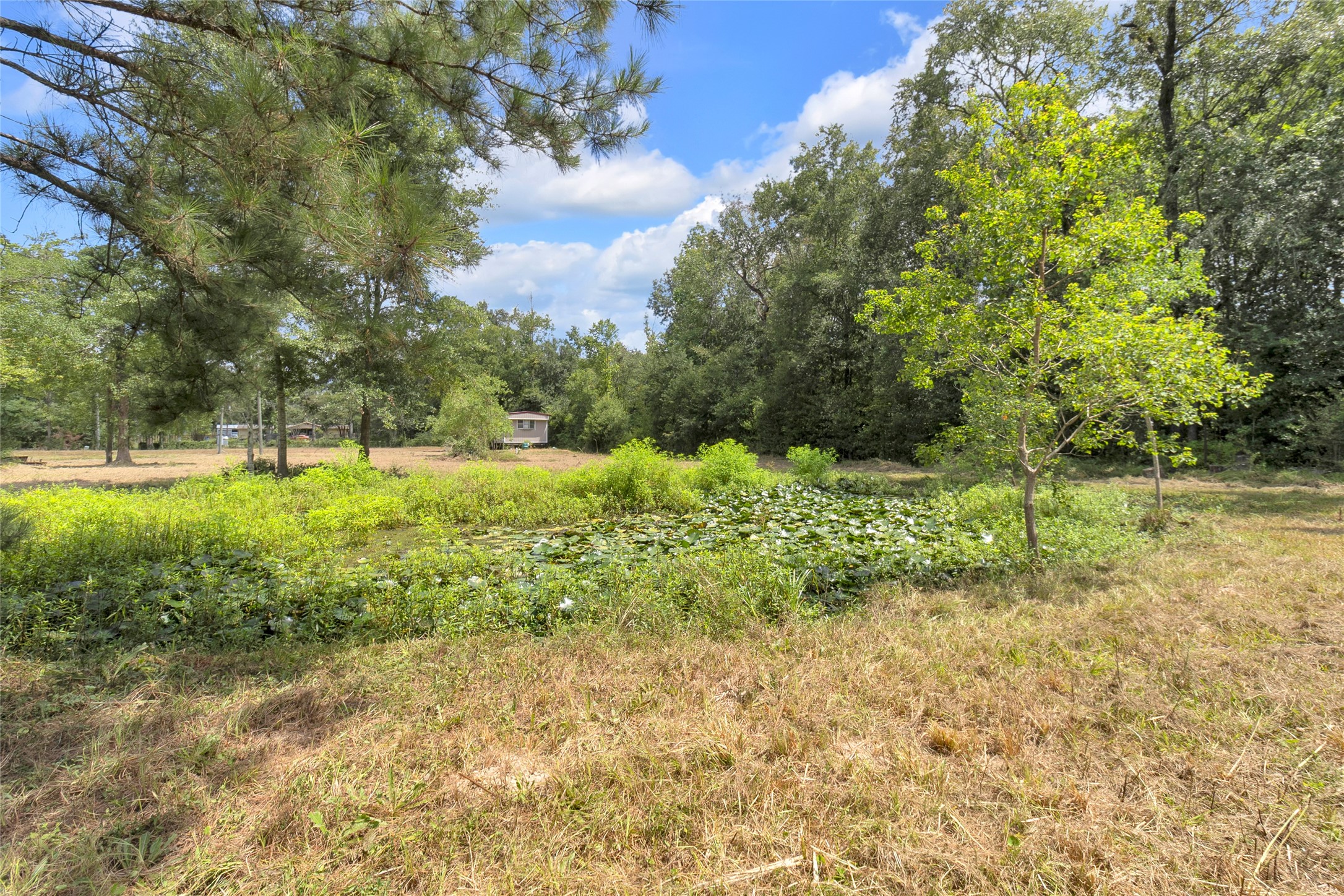310 County Road 3280 Property Photo 17