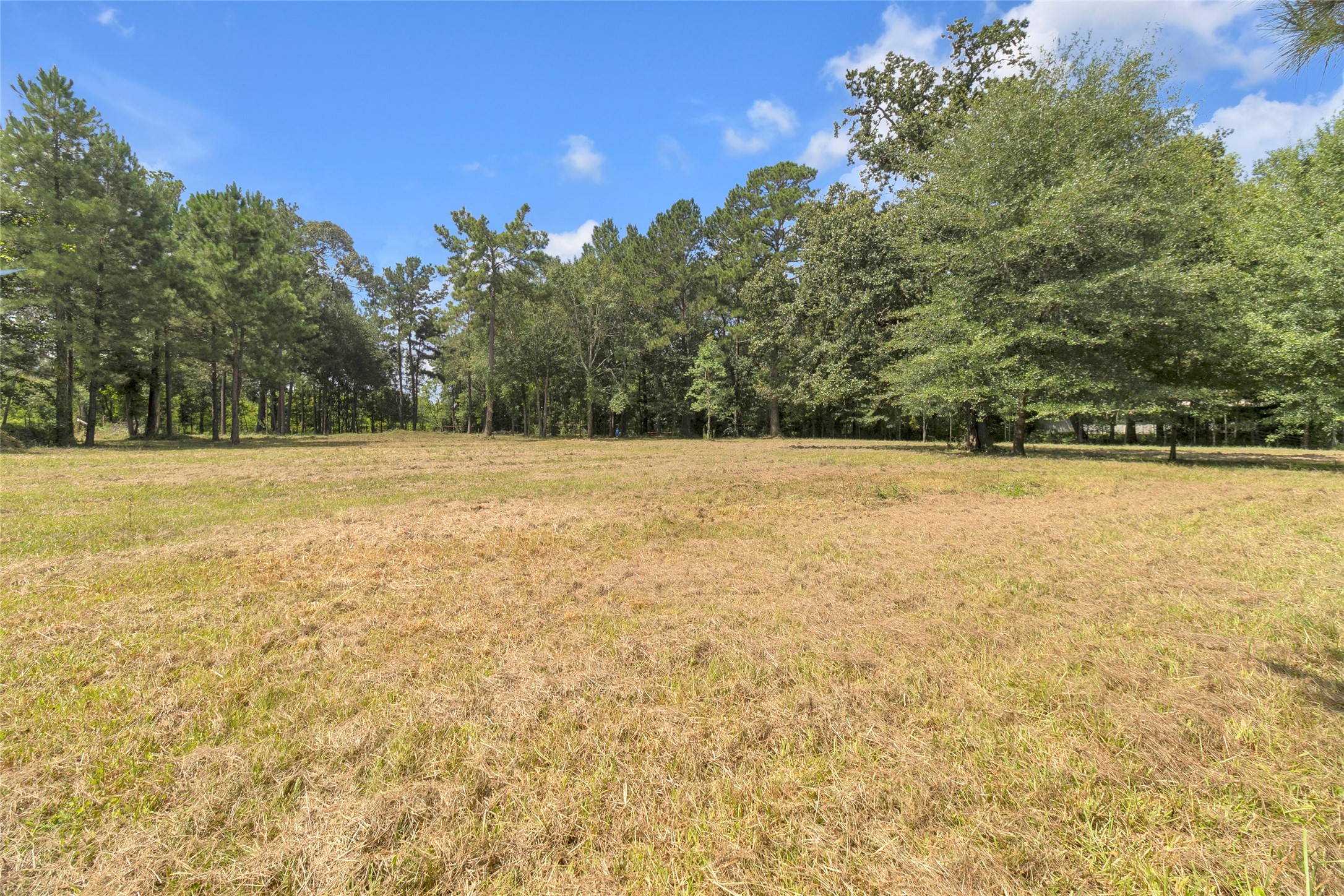 310 County Road 3280 Property Photo 20