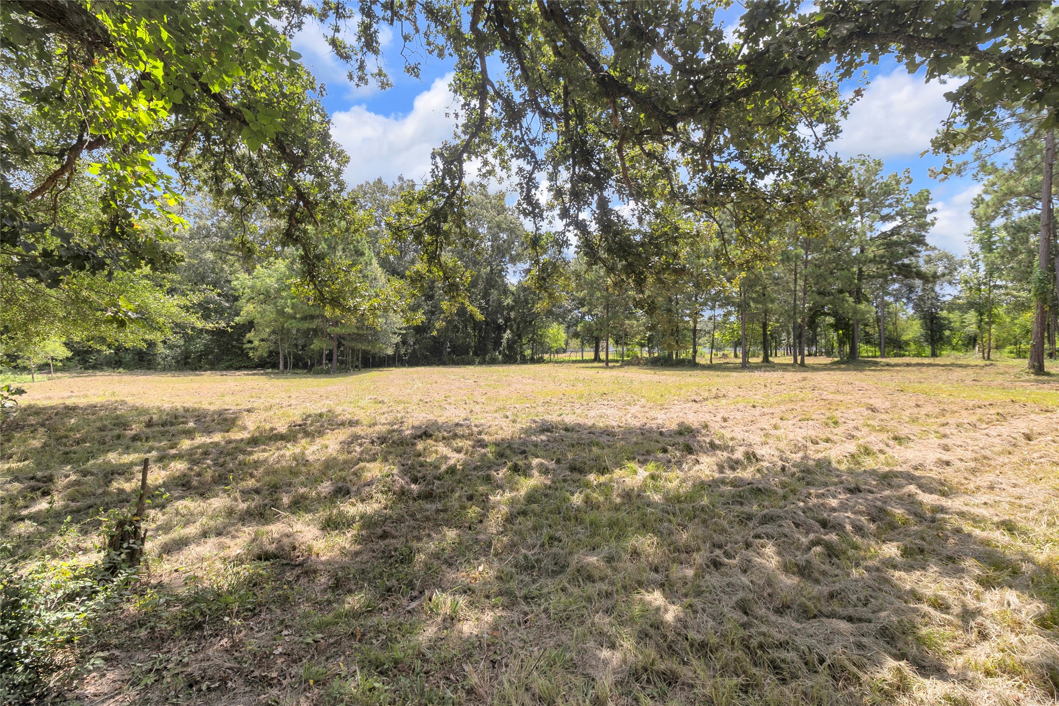 310 County Road 3280 Property Photo 21