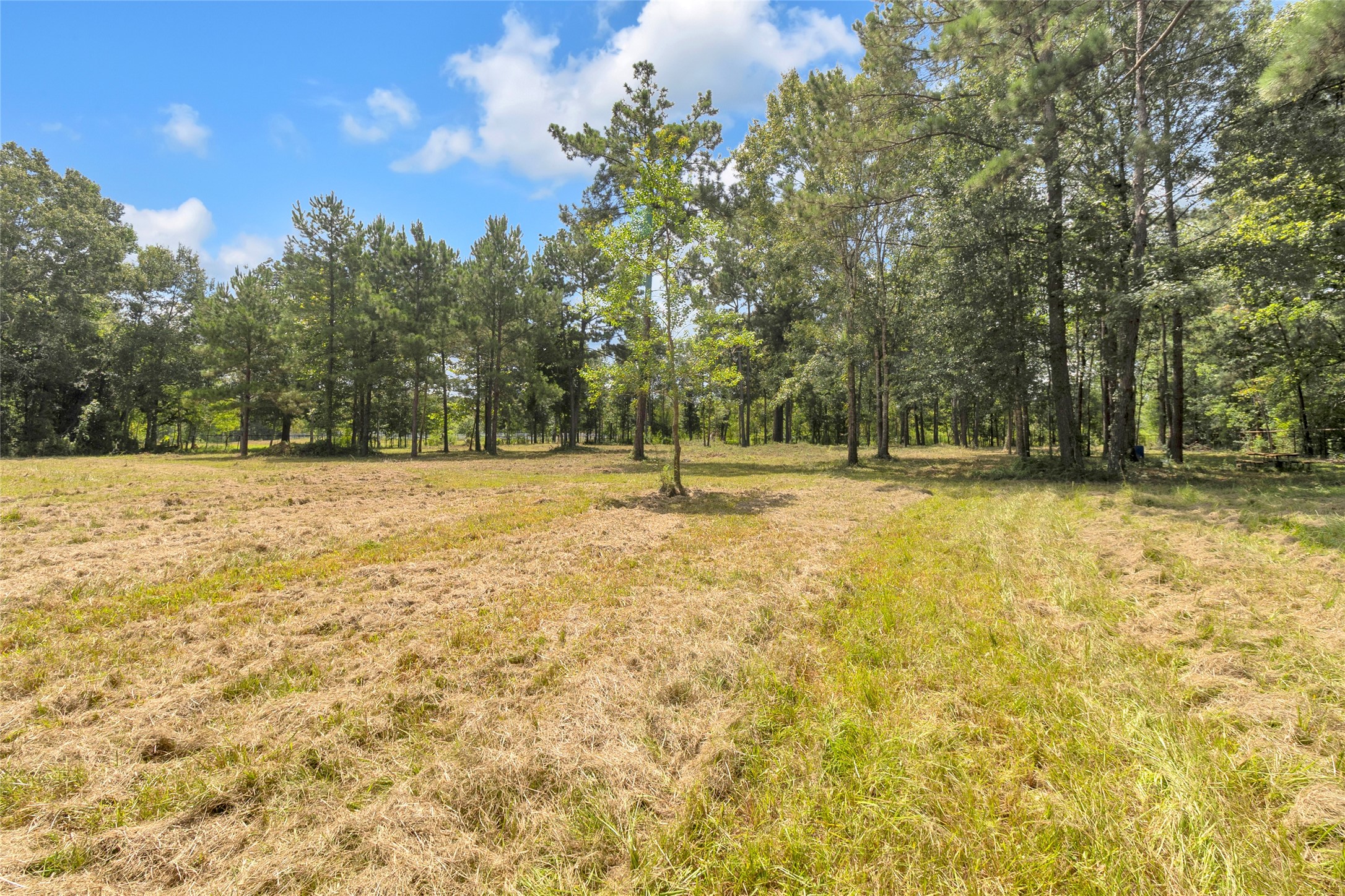 310 County Road 3280 Property Photo 22