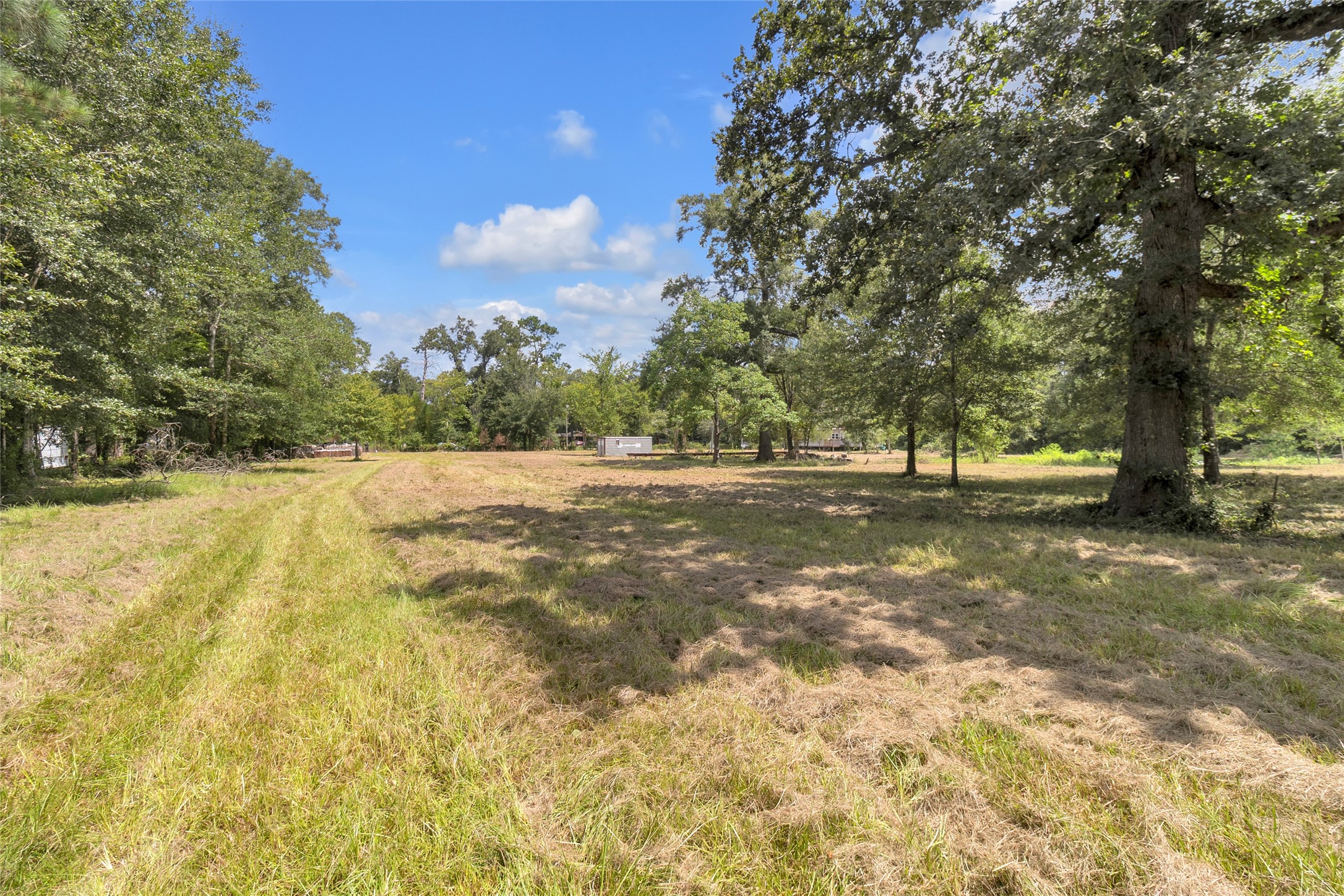 310 County Road 3280 Property Photo 23