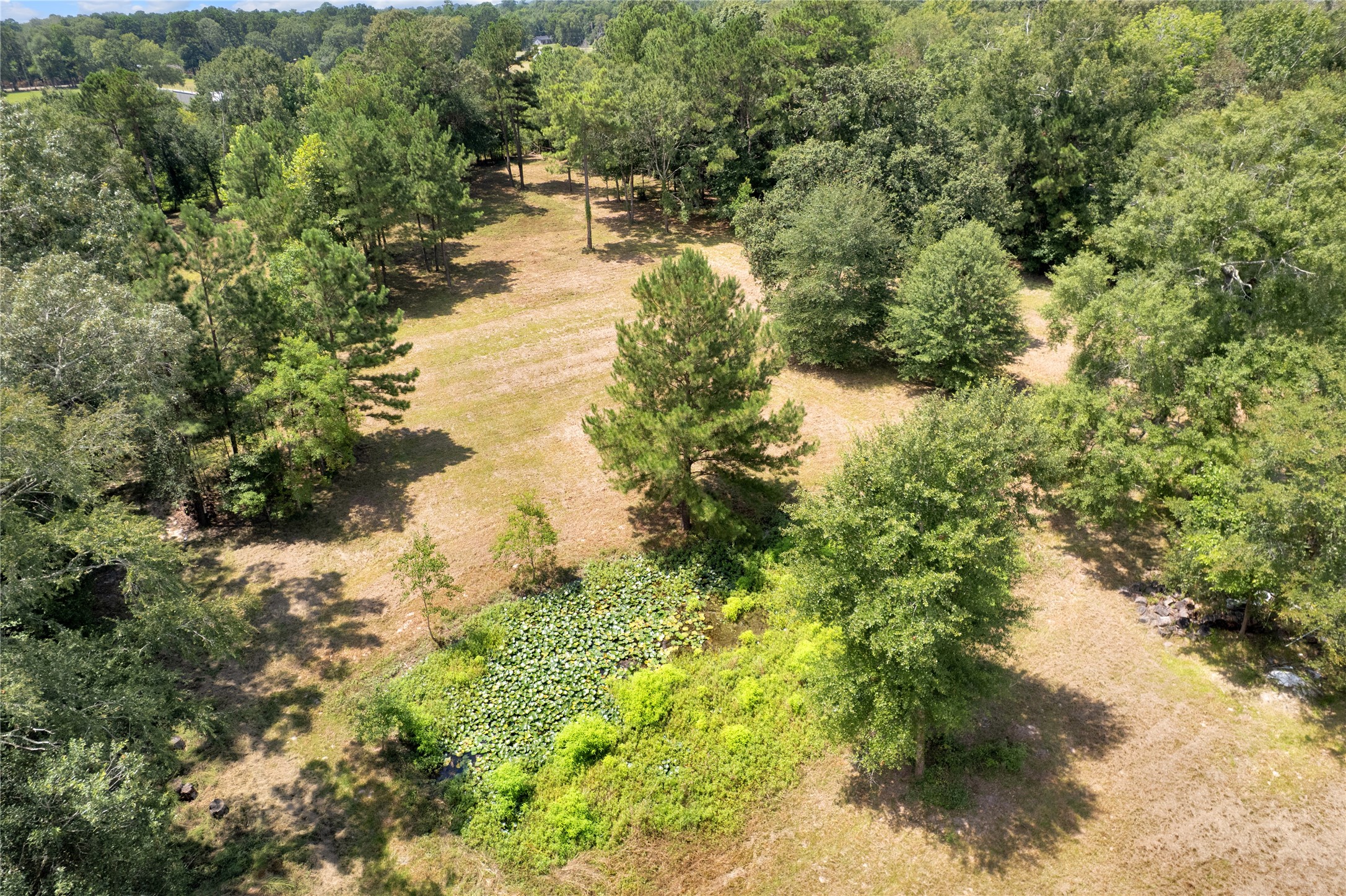 310 County Road 3280 Property Photo 26
